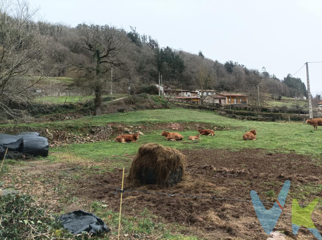 En San Juan de Raicedo, una de las zonas más tranquilas y bonitas  del Valle de Iguña, tenemos para la venta esta bonita finca rústica, que al cumplir la normativa existente, tiene permitido edificar previa autorización de la CROTU.La parcela mide aproximadamente unos 1.460 m² de terreno, y la normativa urbanística permite construir una vivienda unifamiliar de hasta dos plantas (máx. 6,5 m de altura) con una ocupación aproximada del 50 % de la parcela y edificabilidad 1m²/m², lo que te permitirá construir una bonita vivienda de buenas dimensiones y al mismo tiempo, tener un amplio jardín para poder disfrutar en familia.Está situada en un entorno rural y muy apacible, rodeada por naturaleza, montañas y un paisaje que invita al descanso, lo que ofrece un entorno con gran calidad de vida y atractivo rural, perfecto para familias o para quienes buscan tranquilidad, sin renunciar a la proximidad de los servicios del centro de Arenas de Iguña, a tan solo unos minutos en coche. El Valle de Iguña ofrece rutas de montaña, naturaleza, tranquilidad y fácil acceso a vías principales como la A-67, conectando con Santander y otras áreas importantes de Cantabria. Es una oportunidad única para construir la casa de tus sueños en una zona tranquila y natural, ideal tanto para vivienda permanente como segunda residencia.