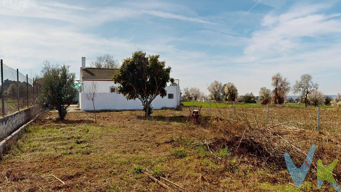 🌿 Chalet en una planta en parcela de 980 metros vallado con piscina– El Saso, San Mateo de Gállego. Se vende chalet de una sola planta situado en la tranquila Urbanización El Saso, en San Mateo de Gállego, ideal para quienes buscan naturaleza, espacio y privacidad. 🏡 Vivienda distribuida en salón, 3 dormitorios, cocina y 1 baño. 🌳 Parcela de 980 m², perfecta para disfrutar del aire libre, con piscina y jardín. 🔋 Electricidad mediante placas solares con acumuladores. Agua de acequia con aljibe. Agua caliente con termo de butano. Calefacción mediante estufa de leña y radiadores. 📍 Vivienda de carácter rústico, ideal como residencia habitual o segunda vivienda para desconectar de la ciudad. Si buscas tranquilidad, espacio y un entorno natural a pocos minutos de Zaragoza, esta es tu oportunidad. El precio no incluye impuestos, gastos de notaría, registro ni honorarios de intermediación. Este anuncio tiene carácter informativo y no es contractual. Puede estar sujeto a errores o modificaciones. . 
