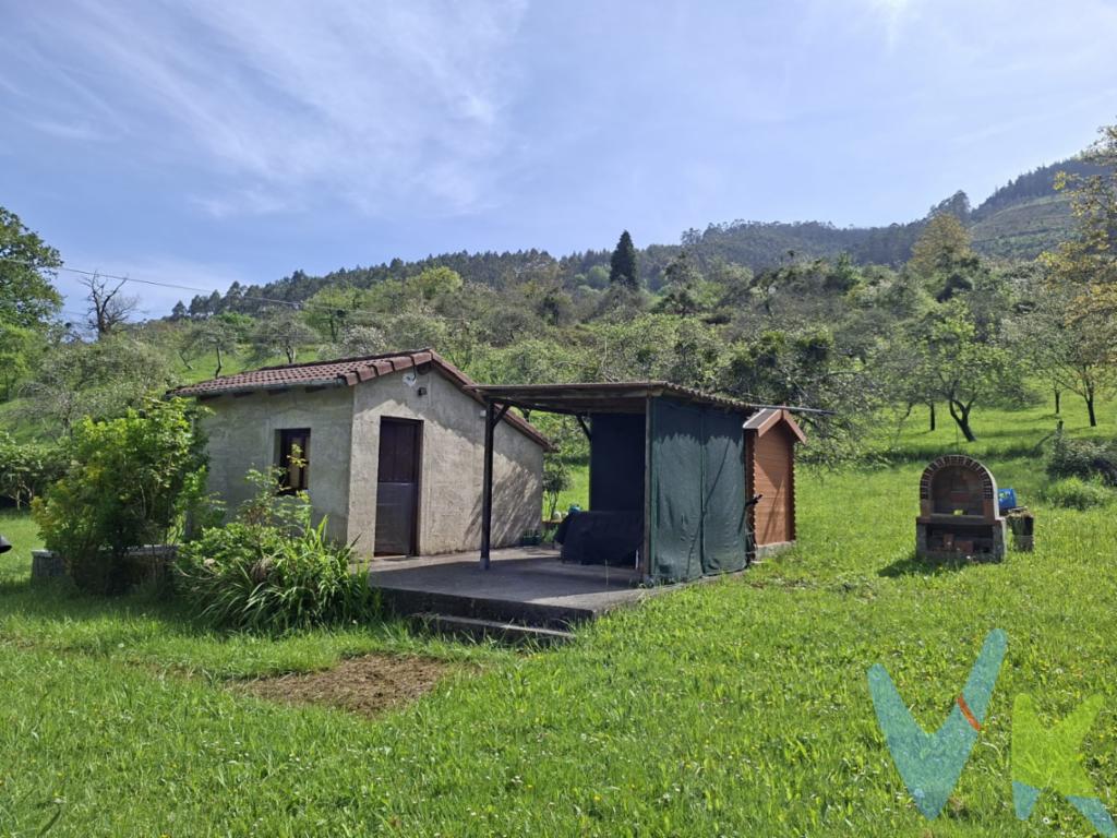 Refugio Rural en Peón: Finca con \"Fin de Semana\" y Kiwis¿Buscas desconectar sin perder la comodidad? Esta finca llana y cerrada en Villaviciosa es el paraíso privado que necesitas. Un entorno natural idílico con la ventaja única de estar conectada por bus.? Puntos clave:Privacidad total: Perímetro completamente cerrado, ideal para mascotas, ocio o proyectos agrícolas.Terreno fértil: Parcela amplia y soleada con plantación de kiwis y diversos frutales.Lista para disfrutar: Incluye construcción de \"fin de semana\" con agua, luz y barbacoa de obra.Ubicación Estratégica:Situada en el codiciado valle de Peón, combina la paz absoluta con la cercanía a servicios. Perfecta para amantes del senderismo y ciclismo que buscan un refugio auténtico en el campo asturiano.¡Tu oasis verde te espera! Contacta para visitar esta joya rural y empieza a disfrutar del aire libre.Gastos e impuestos no incluidos en el precio. A título orientativo, en segundas transmisiones, el comprador abonará el Impuesto sobre Transmisiones Patrimoniales (ITP). Para consultar los porcentajes del ITP en Asturias puede hacerlo a través de la web oficial de servicios tributarios del Principado de Asturias https://sede.tributasenasturias.es/sites/sede/default/es_ES/Que-quieres-hacer/Transmisiones-Patrimoniales-y-AJD. La base imponible será el mayor valor entre precio de compraventa, tasación o valor de referencia catastral. Gastos de notaría y registro según aranceles variables según precio, número de copias y complejidad.El comprador escoge libremente notario. El vendedor asume la plusvalía y el resto de gastos son del comprador. Si se precisa hipoteca: Tasación, condiciones y costes bancarios según entidad elegida por el comprador; así como los gastos de gestoría y cualesquiera otros inherentes a la formalización de la compraventa. De acuerdo con la ley, no se incluyen en el precio otros gastos o tributos que legalmente correspondan al comprador. Honorarios de intermediación inmobiliaria a cargo del vendedor y honorarios de mediación inmobiliaria del 2% más I.V.A. con un mínimo de 1.000 +IVA a cargo del comprador.El consumidor tiene derecho, conforme a la normativa vigente, a disponer de información y documentación adicional relativa al inmueble y condiciones de la compraventa, accesible en la sede física de la Agencia Domingo en Avenida Hermanos Felgueroso 1 o Marqués de casa Valdés 7 bajo, de Gijón, o a través del correo electrónico info@agenciadomingo.com. La agencia actúa exclusivamente como intermediaria en la operación. Cualquier compraventa y sus condiciones quedan sujetas en todo caso a la aceptación expresa del vendedor del inmueble y a la posterior formalización del correspondiente contrato. El presente anuncio tiene carácter meramente informativo; la información suministrada se corresponde con la disponible a la fecha de publicación, pudiendo variar en función de las circunstancias o actualizaciones legales, contractuales y fiscales.