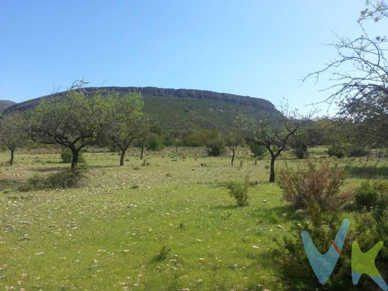 Se ofrece a la venta magnífica parcela rústica situada en la zona de Fuente de L’Enebro, en Chiva, un entorno natural muy valorado por su tranquilidad y proximidad al núcleo urbano. La parcela cuenta con una superficie aproximada de 21.000 m² y destaca por su posición elevada respecto a otras parcelas de la zona, lo que le proporciona amplitud de vistas, mayor privacidad y una excelente orientación. Ubicada en un entorno consolidado, rodeada de chalets y viviendas de campo, combina perfectamente la sensación de naturaleza y tranquilidad con la comodidad de tener el centro de Chiva a tan solo 7 minutos, donde se encuentran todos los servicios: comercios, restauración, centros educativos y transporte. Los datos e información contenida en este anuncio no son vinculantes sino meramente informativos, la oferta está Los sujeta a cambios de precio, textos, fotos o cualquier otro contenido inesperado, la inmobiliaria se reserva el poder de modificarlo en cualquier momento. La venta de esta vivienda se gestiona mediante contrato de EXCLUSIVA COMPARTIDA por lo que se trabaja con más de 150 Inmobiliarias. Los gastos de la venta tales como notaría, registro y honorarios no están incluidos en el precio. 