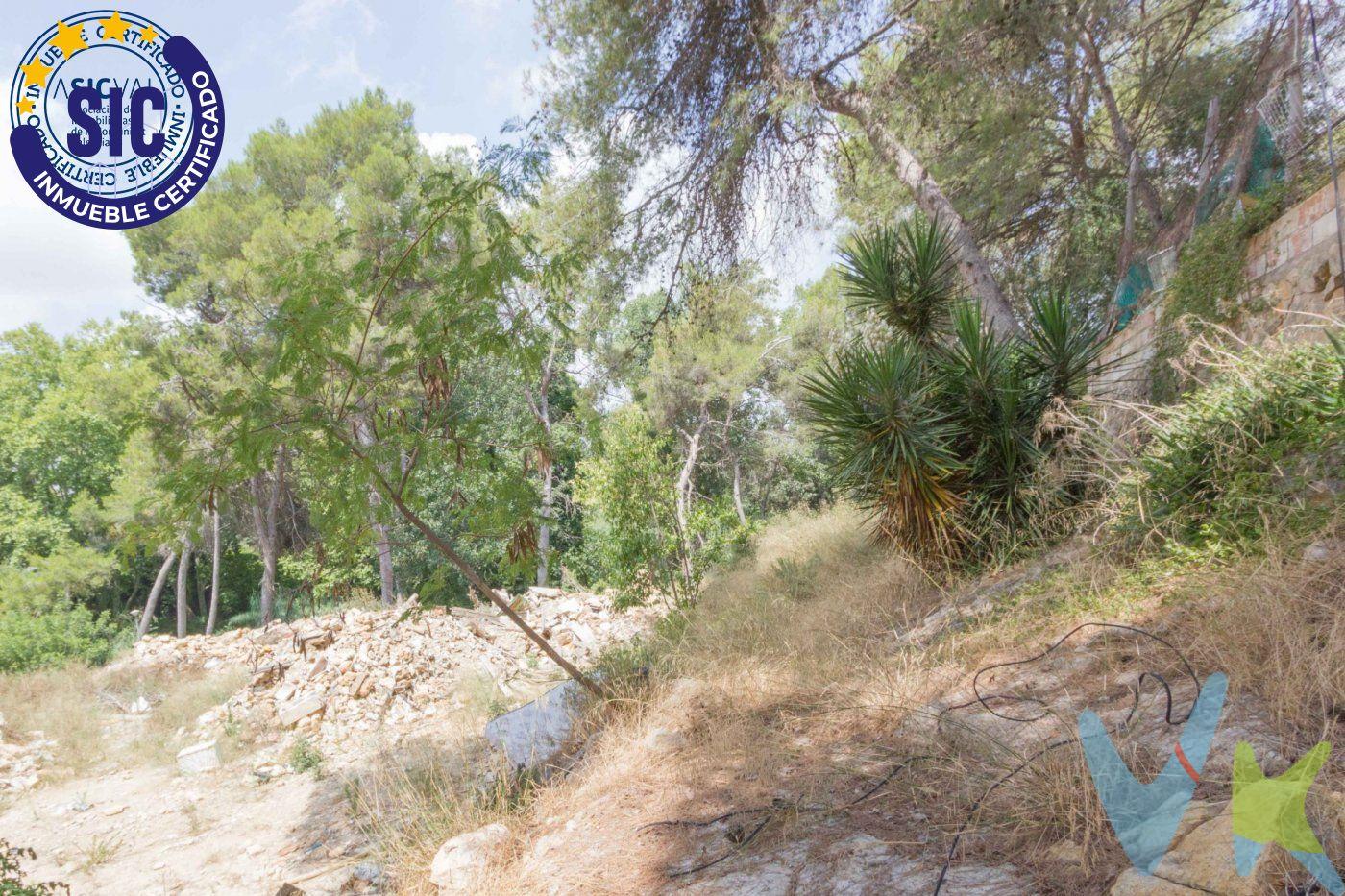 Te presentamos una oportunidad excepcional que podría cambiar tu vida. Ponemos a la venta un espectacular terreno urbano de 7400m2 ubicado en la exclusiva urbanización Cumbres de Calicanto, situado en la calle Torrente. Este es tu momento para convertir tus sueños en realidad. Lo más destacado de esta oferta es que disponemos de un completo informe urbanístico de la parcela que revela todas las emocionantes posibilidades de construcción que ofrece. Imagina las maravillas que podrías crear en este espacio; las oportunidades son realmente ilimitadas. Ya sea que estés en la búsqueda de un lugar para construir tu hogar ideal o para desarrollar un proyecto de inversión, ahora es el momento perfecto para tomar medidas. No querrás dejar pasar la oportunidad de adquirir este valioso terreno y dar vida a tus ambiciones. Es importante tener en cuenta que el precio de venta al público no incluye los gastos de adquisición, como los honorarios notariales, registrales, de gestión, entre otros. Además, debes ser consciente de que los muebles, enseres, vehículos u otros bienes muebles que puedas ver en las fotografías no están incluidos en el precio de transmisión, a menos que se indique expresamente en el anuncio. Si esta emocionante oportunidad ha capturado tu interés, te invitamos a ponerte en contacto con nosotros de inmediato. Estamos aquí para brindarte más información y ayudarte a dar el primer paso hacia la realización de tus proyectos. ¡No permitas que esta oportunidad única se escape de tus manos!