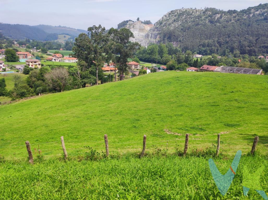 FANTÁSTICO TERRENO CON EDIFICACIÓN EN AÉS, PUENTE VIESGO.Situado en un entorno tranquilo y con unas vistas espectaculares pero muy próximo a todos los servicios encontrarán este terreno de aproximadamente 17.000 m2, con grandes posibilidades, ya que la finca cuenta con una edificación industrial de unos 200m2 útiles.Una vez terminada la obra y contando con la autorización de la CROTU, se podría solicitar el cambio de uso a vivienda.Además, la finca se podría segregar en dos parcelas independientes con una parcela mínima de 6.000 m2, previa tramitación y autorización administrativa correspondiente.Con todos los suministros a la puerta, este terreno es ideal para quienes buscan una finca amplia en una zona bien comunicada, con vistas, privacidad y potencial.Aés es una localidad situada a 2 km de Puente Viesgo en la comarca de los Valles Pasiegos. Por este municipio discurre el río Pas, y uno de sus mayores atractivos culturales y turísticos es el complejo de las cuevas del Monte del Castillo, reconocidas como patrimonio de la Humanidad debido a su arte rupestre. Se encuentra a 30 minutos de Santander y a 20 minutos de las playas de Cantabria.¿La vas a dejar escapar? ¡¡¡VEN A VERLA, TE ENCANTARÁ!!!Al comprador se le cobrará el 2% de gastos de gestión + IVA.Gastos e Impuestos no incluidos en el precio. Compra sujeta a ITP. El comprador se hará cargo de los costes de la escritura e inscripción en el Registro de la Propiedad. Más información sobre transparencia, impuestos, gastos y condiciones de compraventa en nuestra web www.activanorte.com\" 