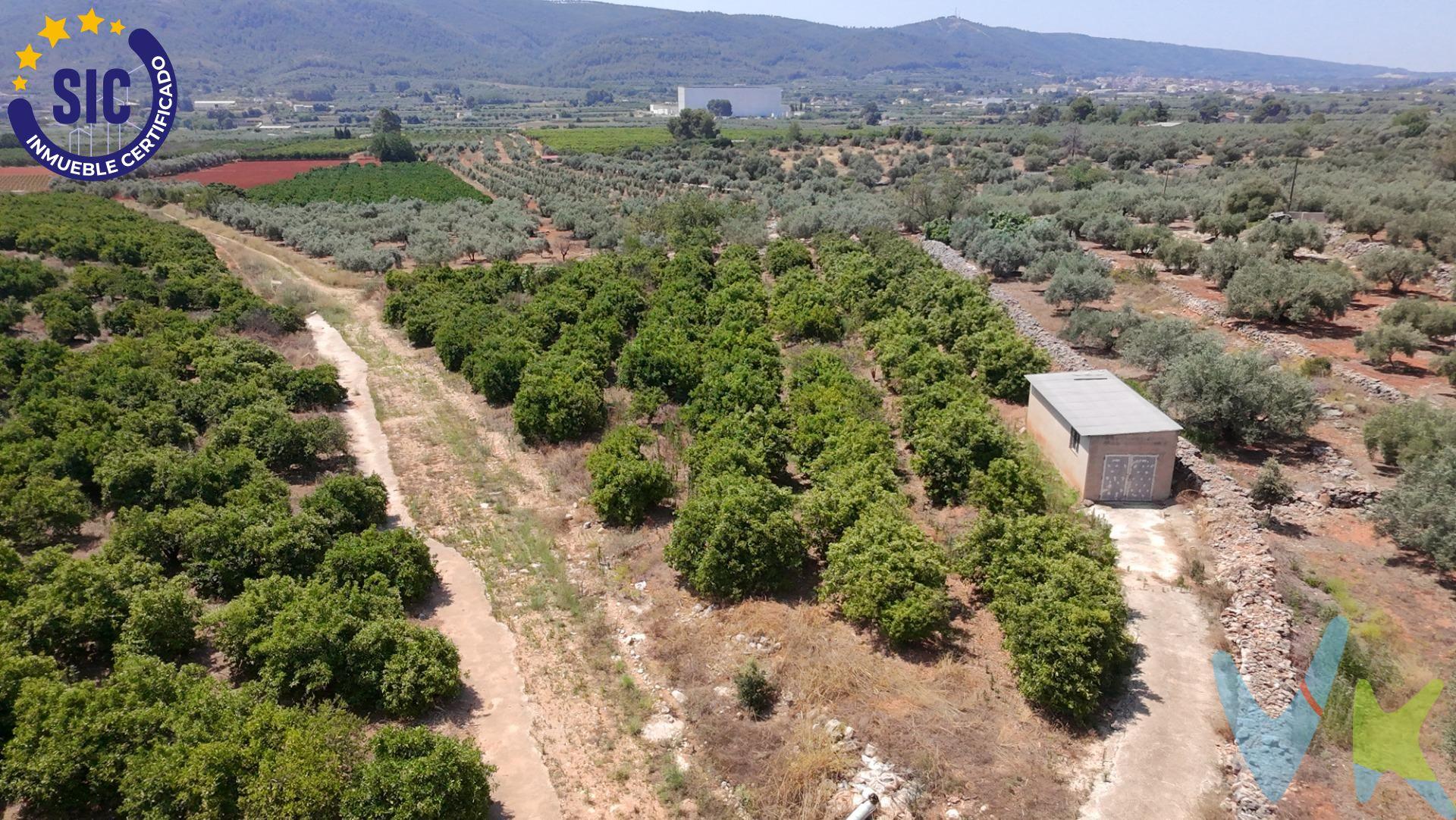 Terreno rústico en producción con vivienda auxiliar – Enguera (Valencia). 📍 Polígono 6, paraje Charral | 35.597 m² | Producción activa | Agua en propiedad. ¿Buscas una finca en plena producción y con excelente potencial?. Te presentamos esta parcela rústica de 35.597 m² en el término de Enguera, con cultivo de naranjos variedad Navel Clavel Late y toda la infraestructura preparada para seguir generando rendimiento desde el primer día. Características principales:. Superficie: 35.597 m². Producción agrícola activa (100 kg por árbol) 2400 naranjos. 60 acciones de agua. Riego por goteo con instalación en funcionamiento. Caseta con placas solares para mantenimiento. Acceso asfaltado hasta la finca. Electricidad próxima para conexión. Rentabilidad potencial por arrendamiento. Ventajas destacadas:. Clima ideal: buena altitud, mínimo riesgo de heladas, orientación soleada. Producción inmediata, sin necesidad de inversión inicial. Posibilidad de construcción de vivienda rústica (según normativa local). Agua garantizada. 🌅 Rodeado de naturaleza, bien comunicado y con posibilidades reales tanto para uso propio como para inversión agrícola o recreativa. 📩 Solicita ya más información, Una oportunidad como esta no se riega todos los días 🍊. La descripción del presente inmueble e imágenes tienen mero carácter informativo y en ningún caso carácter contractual, pudiendo ser modificados por la inmobiliaria comercializadora sin que ello implique responsabilidad alguna frente a terceros. En el precio de venta a público, esta propiedad NO incluye los gastos de adquisición (Notario, registro, gestión, honorarios, etc…). 