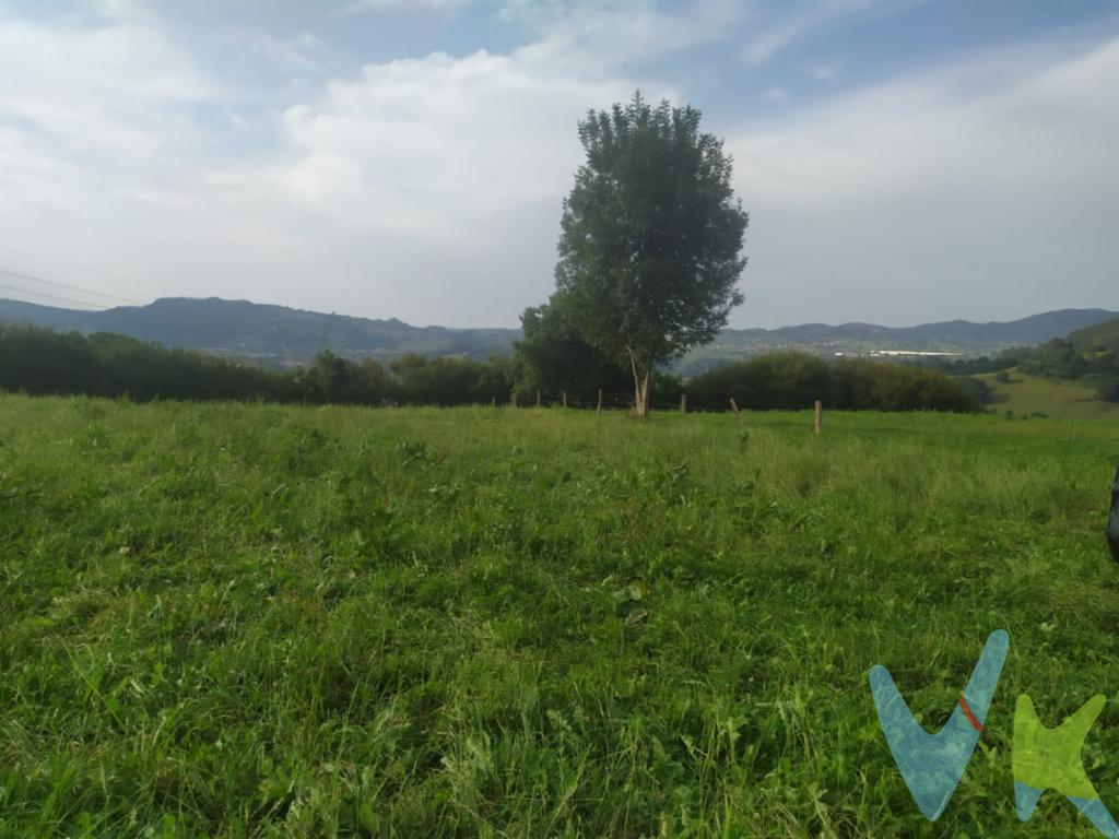 Te presentamos esta estupenda finca rústica de 5.610 m2  con vistas al Valle de Cayón , prácticamente  llana, con un entorno verde donde poder desconectar o llevar a cabo ese proyecto en zona rural que tienes en mente. Ubicado a tan solo 5 min de Sarón donde cuentas con todos los servicios, medico, colegios y acceso a la Autovía A-8. Cerca de Cabarceno y a pie de Valles Pasiegos , con playas y Santander a tan solo 25 min. No lo dejes escapar!!Los precios mostrados no incluyen impuestos, gastos de compraventa ni financiación.