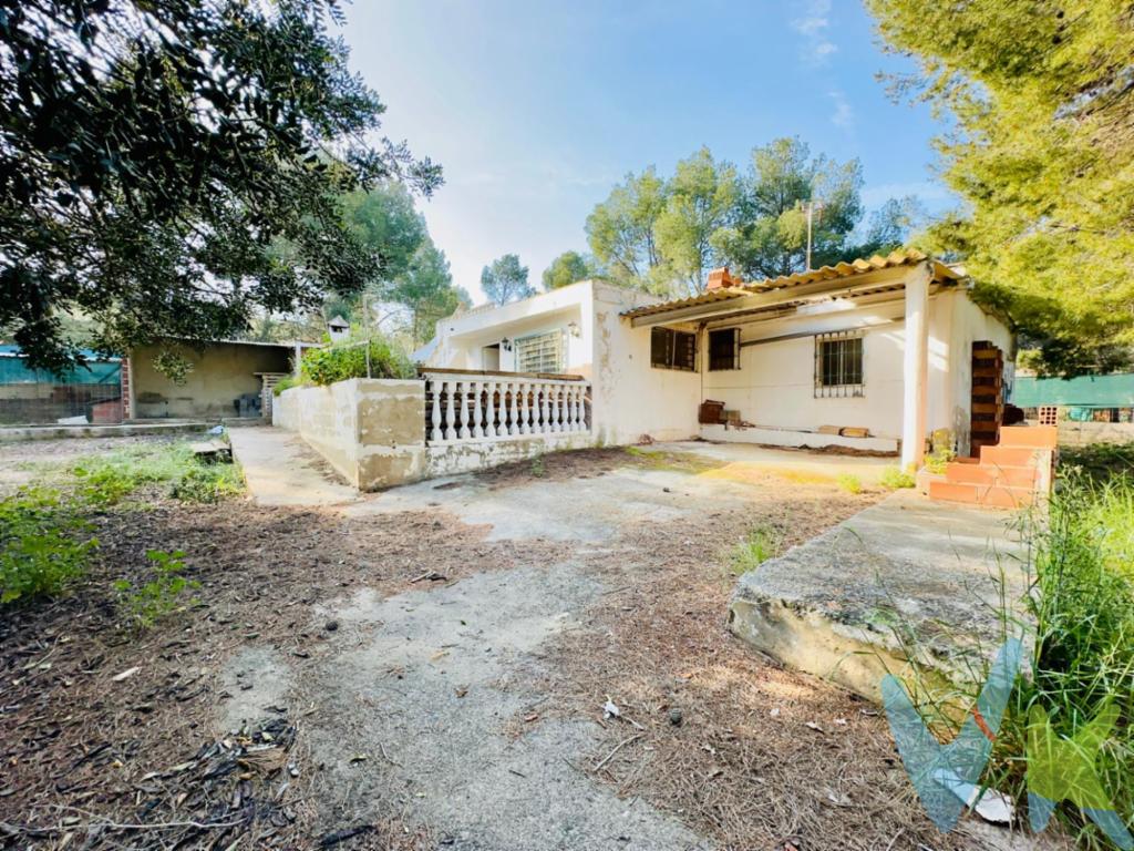 ¡Gran oportunidad! Casa de monte con piscina, barbacoa y amplísima parcela en Sagunto.¿Te gustaría disfrutar de la naturaleza en tu propia casa, sin renunciar al confort y la tranquilidad?.Te presentamos esta encantadora casa de monte situada en el término de Sagunto, una ubicación privilegiada rodeada de parajes naturales y con unas vistas impresionantes a la montaña.Detalles de la Propiedad:.Parcela de 1.841 m² aprox. Un espacio amplio y versátil, ideal para quienes buscan privacidad, zonas verdes, espacio para mascotas, huerto propio o simplemente disfrutar del aire libre. La parcela dispone de parking privado, zona ajardinada, y una fantástica piscina para refrescarte en los días de verano.Vivienda de 70 m² aprox. La casa cuenta con una distribución muy cómoda y funcional:3 habitaciones (la principal con vestidor independiente, perfecta para organizar tu ropa y accesorios).1 baño completo y 1 aseo adicional, proporcionando comodidad para toda la familia y visitas.Amplio salón, ideal para reuniones familiares, descansar tras un día en la montaña o disfrutar de momentos de ocio.Cocina equipada, práctica y luminosa, perfecta para preparar tus recetas favoritas.Gran terraza de 60 m² aprox, el auténtico corazón de la casa: un espacio exterior muy amplio, perfecto para comidas al aire libre, tomar el sol o relajarse admirando las espectaculares vistas a la montaña.Zona de barbacoa junto a la terraza, para disfrutar de parrilladas y reuniones con familiares y amigos durante todo el año.Calidades y extras:.Suelo de gres en toda la vivienda: resistente y fácil de limpiar.Trastero: espacio adicional de almacenamiento para herramientas, bicicletas, etc.Parking en la parcela: espacio suficiente para varios vehículos.Orientación Este/Oeste, que garantiza una luz natural óptima a lo largo del día.Vistas despejadas a la montaña, entorno tranquilo y natural.Calificación energética: F.Más ventajas:.Vivienda lista para entrar a vivir, tal y como aparece en las fotos.Entorno muy tranquilo y seguro, perfecto tanto como vivienda habitual como para fines de semana y vacaciones.A solo unos minutos en coche de Sagunto y todos sus servicios: comercios, supermercados, colegios, centros de salud y acceso rápido a autovías.Una propiedad única para disfrutar del aire libre.Ya sea para vivir todo el año o como segunda residencia, esta casa te ofrece un entorno natural incomparable, todas las comodidades y un espacio exterior donde celebrar barbacoas, reuniones o simplemente desconectar.¡No pierdas la oportunidad de visitarla!.Contacta con nosotros para más información, solicitar fotos o concertar una visita.¡Vive la tranquilidad y el confort en plena naturaleza!.Referencia: 4615.