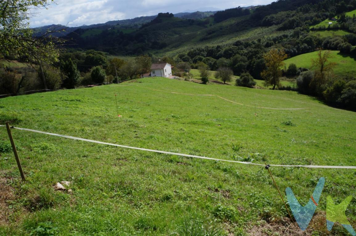  Ponemos a la venta 2 parcelas edificables en Cenero, buen acceso por carretera, luz y agua a píe de finca, vistas, soleadas, buen acceso, en la zona de Carbainos, Parcela 1/ 1.788 m2 Precio: 45.000 euros. Parcela 2/ 2.000 m2 Precio: 48.000 euros. Informese !!LA FINCA, al ser edificable, le permitirá diseñar y construir su vivienda a su medida. Disponer de 300 metros cuadrados le otorga la libertad de crear el hogar que siempre ha deseado. Desde una amplia casa de dos plantas hasta un moderno edificio de apartamentos, las posibilidades son infinitas.Además, cabe destacar que en la zona de Cenero existe una gran demanda de viviendas, lo que convierte a esta parcela en una inversión segura. Las propiedades en esta área son muy cotizadas, por lo que adquirir esta finca es una excelente oportunidad para obtener beneficios a largo plazo.En cuanto a la infraestructura, la finca cuenta con acceso a todos los servicios básicos, como agua y electricidad, lo que facilitará la construcción de su nuevo hogar. Además, las vías de comunicación están perfectamente conectadas, permitiéndole desplazarse rápida y cómodamente hacia el centro de Gijón o cualquier otro punto de interés.No podemos dejar de mencionar las fantásticas vistas que podrá disfrutar desde esta parcela. Al estar ubicada en una zona elevada, tendrá la oportunidad de contemplar hermosos paisajes y deleitarse con la tranquilidad y el aire fresco que el entorno brinda.En resumen, si está buscando una finca edificable en Gijón, no puede dejar pasar esta oportunidad. No solo estará adquiriendo un inmueble con gran potencial de revalorización, sino que también estará invirtiendo en la calidad de vida que solo esta zona puede ofrecer. Para más info o concertar visita solo por tlf. De acuerdo con la ley, no se incluyen en el precio otros gastos o tributos que legalmente correspondan al comprador. El consumidor tiene derecho, conforme a la normativa vigente, a disponer de información y documentación adicional relativa al inmueble y condiciones de la compraventa, accesible en la sede física de la Agencia Sabugo, en Plaza del Carmen n.º 5 BJ, o a través del correo electrónico: info@inmobiliariasabugo.com. La agencia actúa exclusivamente como intermediaria en la operación. Cualquier compraventa y sus condiciones quedan sujetas en todo caso a la aceptación expresa del vendedor del inmueble y a la posterior formalización del correspondiente contrato. El presente anuncio tiene carácter meramente informativo; la información suministrada se corresponde con la disponible a la fecha de publicación, pudiendo variar en función de las circunstancias o actualizaciones legales, contractuales y fiscales.  