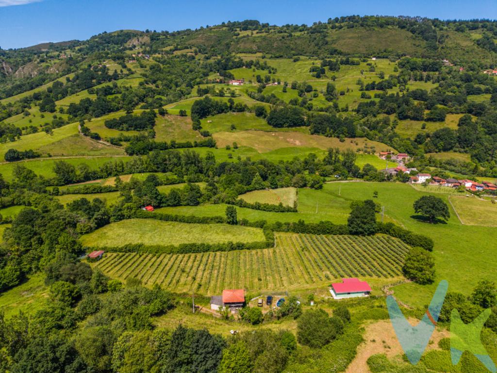  **Increíble Finca en Venta en el Corazón de Grado**Se presenta una oportunidad inigualable de adquirir una finca excepcional ubicada en lo pintoresco de Grado. Este lugar no solo ofrece un entorno natural privilegiado, sino que además cuenta con todas las comodidades modernas que usted pueda necesitar. Ubicándose en un emplazamiento de ensueño, la finca, que está ahora en el mercado, representa la perfecta mixtura entre lo contemporáneo y lo tradicional.Dispone de fibra óptica.**Ubicación privilegiada:**Inmersa en un paisaje de ensueño, la propiedad se encuentra en Grado, un entorno que combina el encanto de la naturaleza con la cercanía de servicios esenciales. Esta finca está estratégicamente situada, permitiendo disfrutar de total tranquilidad sin renunciar a las facilidades urbanas. La proximidad a los principales medios de transporte garantiza una plena conexión con el entorno.**Características de la propiedad:**Esta espectacular finca tiene suministro de agua corriente, además de  un pozo propio y su correspondiente  depósito de agua con una capacidad de 20m3, asegurando un nivel superior de comodidad y funcionalidad. Con un diseño que prioriza la calidad de vida, cada rincón de este lugar está pensado para ofrecer bienestar y satisfacción a sus futuros propietarios.La propiedad es ideal para aquellos que buscan trasladarse al campo sin perder el acceso a les infraestructuras modernas. La conexión a las principales redes de servicios es una ventaja añadida que pocos pueden ofrecer. Sin duda, este espacio se presenta como un refugio perfecto para relajarse y disfrutar de la naturaleza en su máxima expresión.**Espacios exteriores y posibilidades:**El amplio terreno que rodea a la finca ofrece infinitas posibilidades para ser aprovechado al máximo. Desde desarrollar su propio huerto, hasta tener áreas recreativas para la familia; el terreno es fértil y se presenta como un lienzo en blanco listo para convertir en realidad todas sus ideas. Actualmente es una plantación de arándanos.**Garantía de calidad y confort:**La construcción de la finca ha sido realizada con materiales de excelente calidad, brindando una estructura robusta y duradera. Los acabados interiores reflejan un diseño elegante y funcional que realza cada estancia. Además, el entorno natural que rodea la finca complementa a la perfección el diseño moderno de la propiedad, creando un ambiente acogedor y único para vivir.Licencia para edificación de 200m cuadrados ya concedida. **Por qué elegir esta finca:**Ésta no es solo una propiedad, es una inversión para el futuro, un lugar donde podrá sentir el placer de lo natural sin perder la conexión con todo lo que la tecnología puede ofrecer. Este es el sitio donde sus sueños de una vida en el campo se pueden hacer realidad. La posibilidad de disfrutar de un espacio tan amplio, equipado con todo lo necesario para una vida plena, es una rareza en este paisaje único.**Visítenos y compruébelo usted mismo:**Adentrarse en esta finca es descubrir un mundo lleno de posibilidades. Aproveche esta oportunidad única para vivir en un entorno que ofrece tanto. Le invitamos a realizar una visita para que pueda experimentar de primera mano todo lo que esta propiedad tiene para ofrecer. No espere más, contacte con nosotros para coordinar una visita y déjese seducir por el encanto singular de esta finca en Grado.Convénzase de que esta es la propiedad que ha estado buscando, adecuada para rejuvenecer su vida en contacto con la naturaleza sin dejar atrás las comodidades esenciales del mundo moderno. 