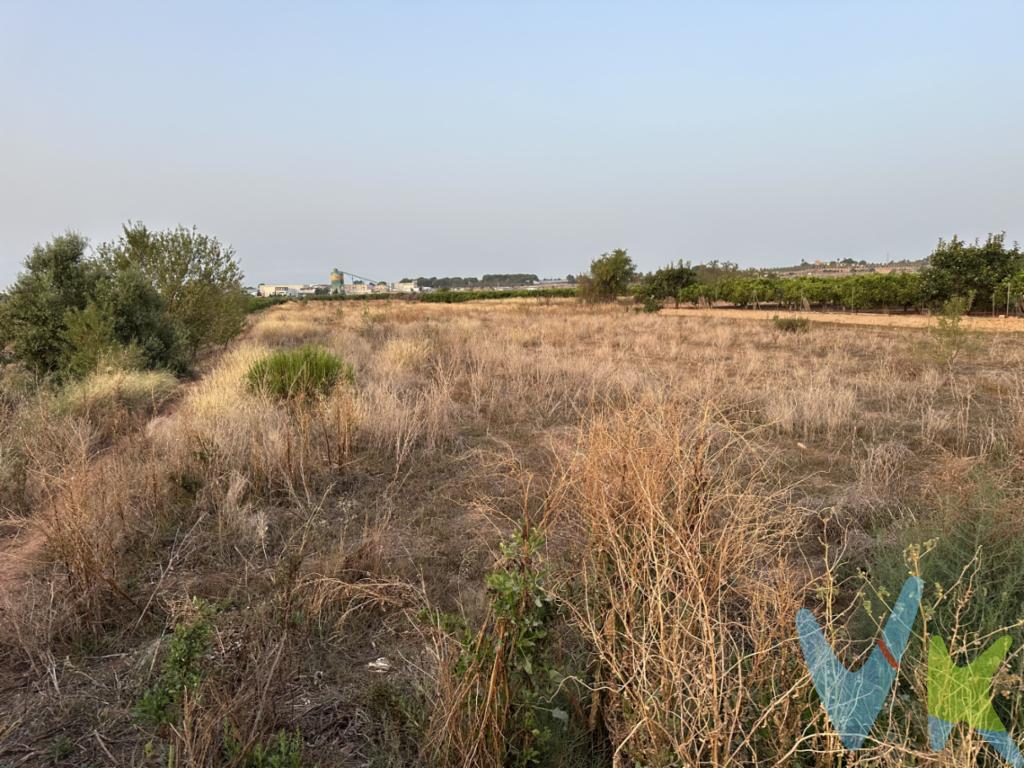 Terreno rustico en Rafelbunyol de 7618 m2, poligono 7 parcelas 13-14-219.Posibilidad de riego por goteo