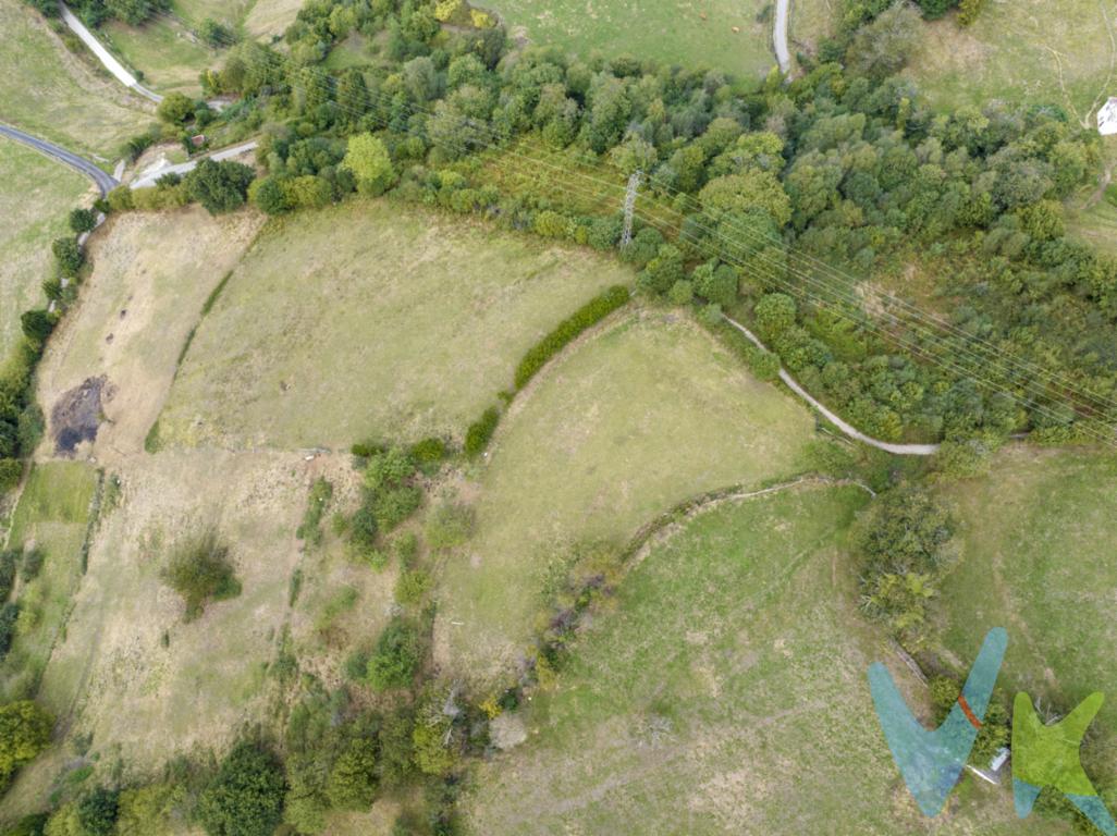 Se venden fincas rústicas de 5.666 m² distribuidas en dos fincas de 2.795 m² y de 2.871 m² situadas en el concejo de San Martín del Rey Aurelio, en un enclave rodeado de naturaleza y con todo el encanto de la vida en la montaña. Dentro de una de las fincas se encuentra una cuadra de piedra, con el carácter tradicional asturiano, que aporta un valor especial a la propiedad y la hace única en la zona. Están dentro de la montaña asturiana lo que garantiza privacidad, tranquilidad y esa sensación de estar realmente desconectado del ruido y el ritmo de la ciudad. Un lugar perfecto para quienes buscan paz, aire puro y vistas espectaculares, ideal para disfrutar de fines de semana, iniciar un pequeño proyecto agrícola o llevar ganado, aprovechando el entorno natural y el espacio disponible. Si siempre has soñado con tener una finca en Asturias, esta es tu oportunidad para hacerlo realidad.