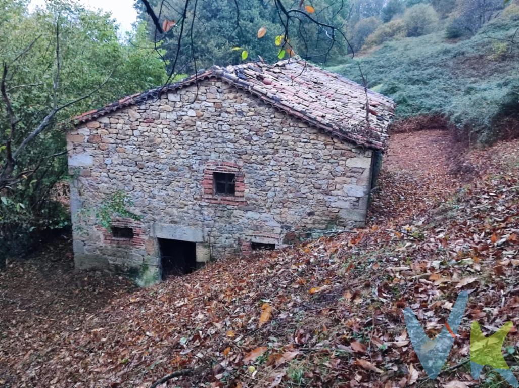 ¡Fantástica oportunidad de comprar una cabaña en Bárcena de Toranzo!A seis minutos de Alceda, donde se encuentran todos los servicios para el día a día. Esta cabaña de 180 metros construidos sobre un terreno de 12.690 metros está entera PARA REFORMAR y dejar a tu gusto, tanto si la quieres para disfrutarla tú mismo como si la quieres para negocio rural.  La piedra es de muy buena calidad, hay que hacer el tejado. Tiene luz en las proximidades, agua de traída y el acceso, aunque bueno, habría que arreglarlo. El terreno es bastante llano, con unas vistas preciosas ubicado en un entorno espectacular. No pierdas la ocasión de comprar una cabaña de este tamaño, de las que apenas hay, en una de las mejores zonas de Cantabria, rodeada de naturaleza y tranquilidad pero a escasos minutos del pueblo. ¡¡¡TE ENCANTARÁ, LLÁMANOS!!!
