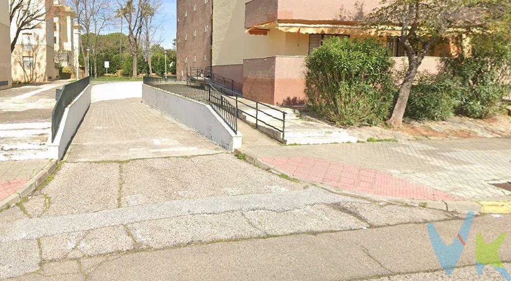 Plazas de garaje en ciudad expo, entrada por la parte del semicirculo circuito 2, bloque 56. Son 6 plazas, se venden independientes. . Tiene una superficie de   15,20        m2 aproximada cada una. Vas a perder la oportunidad?. Llama sin compromiso. Informamos a nuestros clientes que el precio de venta no incluye lo siguiente: honorarios de la agencia inmobiliaria, impuestos (impuesto de transmisiones patrimoniales, i. V. A. o A. J. D. , en su caso), otros gastos de la compraventa (gastos de registro de la propiedad, notaría, gestoría, ni de posible financiación). P. D. Por expreso deseo del propietario, este inmueble se comercializa en exclusiva, podemos proporcionarle toda la documentación informativa respecto al mismo, por lo que rogamos no molestar al propietario, poseedores/ocupantes de la vivienda o a los vecinos. Les agradecemos de antemano su colaboración. 