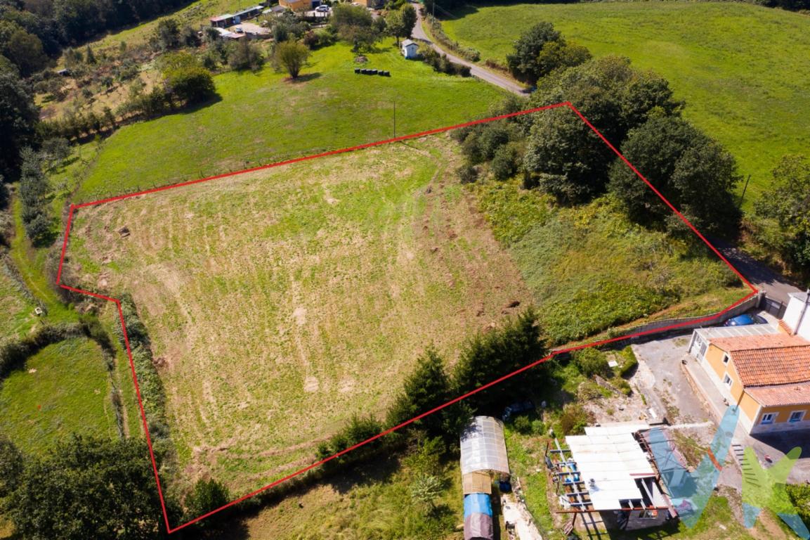  En la pintoresca zona de Hevia, en Nora, se encuentra esta impresionante finca edificable de 2197 metros cuadrados en venta.Ubicada en un entorno tranquilo y rodeada de hermosos paisajes, esta amplia parcela es el lugar perfecto para construir la casa de tus sueños.Con conexión a red eléctrica y con paradas de autobús cercanas, esta finca ofrece la combinación perfecta de comodidad y naturaleza. Imagina despertarte cada mañana con las vistas a las montañas y disfrutar de la tranquilidad que solo un entorno rural puede ofrecer.Con la posibilidad de construir una vivienda de hasta 300 metros cuadrados, las opciones son infinitas. Desde una acogedora casa de campo hasta una impresionante residencia moderna.Esta finca edificable te brinda la oportunidad de crear el hogar que siempre has deseado.Ya sea que estés buscando un lugar para desconectar los fines de semana o un sitio donde establecer tu residencia permanente, esta finca en Hevia es el lugar ideal. Con la posibilidad de disfrutar de la naturaleza en su estado más puro y, al mismo tiempo, contar con todas las comodidades de la vida moderna, esta propiedad lo tiene todo.Además, su ubicación en Nora te brinda la tranquilidad que buscas sin renunciar a la cercanía de servicios y comodidades. No pierdas la oportunidad de visitar esta finca en Siero y descubrir todo lo que tiene para ofrecerte. Ya sea que estés buscando un refugio en la naturaleza o un lugar donde construir tu hogar permanente, esta propiedad tiene el potencial para convertirse en el escenario de tus mejores momentos.Contáctanos hoy mismo para más información y agenda una visita a esta increíble finca edificable en Nora. ¡No dejes pasar esta oportunidad única de hacer realidad tus sueños! 