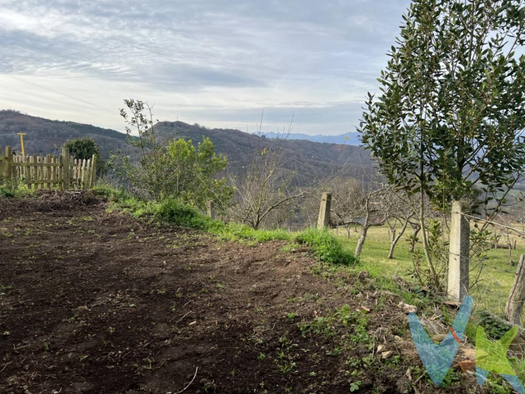 Ponemos en venta esta propidad , ubicada en el pueblo Asturiano de CIACAL , en TUILLA , LANGREO .Si tu deseo es tener una casa en Asturias , esta propiedad por su precio , puede ser muy interesante para poder hacer una reabilitacion integral , y dejar unas bonita y acogedora casa de vacaciones.El pueblo de de CIACAl se encuenta a treinta minutos de Gijon .Las propiedades que se ponen a la venta son una vivienda de piedra , pra realizarle una reforma integra de unos 110 metros cuadrados .Un almacen frente a la casa con un tozo de finca de unos 100 metros cuadraso, tambien de piedra , necesita una reabilitacioin integral .Y por ultimo una parcela, sobre la que estaba construida una cuadra de 117 metros cuadraso, y que debido a su estado se procedio al derribo de la misma. Fastasticas vistas del paisaje natural y de las montañas del Paraiso Asturiano. Buen acceso por carretera desde cualquier punto de Asturias. En el precio no estan incluidos ,los gastos de Notaria y registro de la propiedad. En el precio no estan incluidos los gastos referidos a los impuestos de Transmisiones Patrimoniales. 