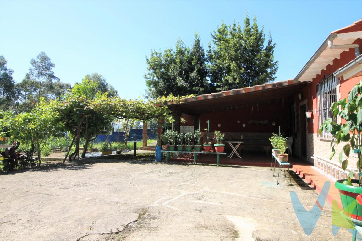 En el municipio de Reocín, cercano a playas y diferentes puntos de interés, ponemos a su disposición este fantástico terreno rústico de 1400m2 con un txoco de 55m2 compuesto de amplio y luminoso salón cocina, un baño con plato de ducha, y una habitación.  Además de un precioso porche con barbacoa, que sin duda disfrutará todo el año para sus reuniones con amigos y familiares. La propiedad se encuentra completamente cerrada y en buen estado, con el tejado reformado, con acceso para coche y aparcamiento. Con servicios de agua y saneamiento de red pública, luz y gas butano para agua caliente. Actualmente el txoco no está registrado, solamante la finca y se puede empadronar en el.Un lugar y una ubicación ideal para desconectar de la ciudad y disfrutar de su pequeño refugio; plantar su propio huerto o simplemente disfrutar del entorno natural y de las preciosas vistas abiertas que ofrece este lugar. Situado en el Barrio del Llano, cercano al Karting la Roca, a 2 minutos de salida A8 Santander-Oviedo , a quince minutos de Santillana del Mar y a 20 minutos de las playas de Suances y San Vicente de la Barquera. Con servicios a 5 minutos en Puente San MIguel. Solicítenos información sin compromiso !