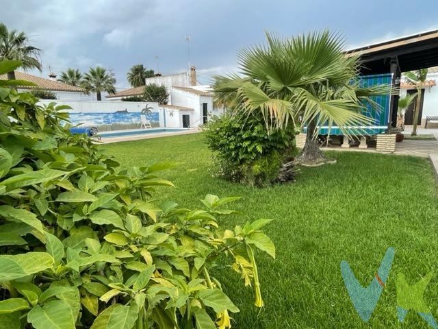 Chalet en Chiclana situado en la zona del Palillejo,  a 3,5 Km aprox. de la playa La Barrosa, distribuido en planta baja, a la entrada nos encontramos con porche delantero, hall de entrada, 3 dormitorios (principal con armario empotrado), baño con bañera, salón comedor con chimenea y amplia cocina independiente, 125 m2 construidos. En el exterior nos encontramos con un apartamento tipo estudio con baño ideal para invitados, merendero con pérgola, zona ajardinada, piscina de agua salada, aparcamiento techado para 2 coches y trastero de 14 m2, todo ello en una parcela de 1.000 m2. Dispone de 10 placas solares para mayor eficiencia energética además de contador de luz propio. (Gastos de notaría, registro, impuestos y honorarios de la agencia, no incluidos en el precio).