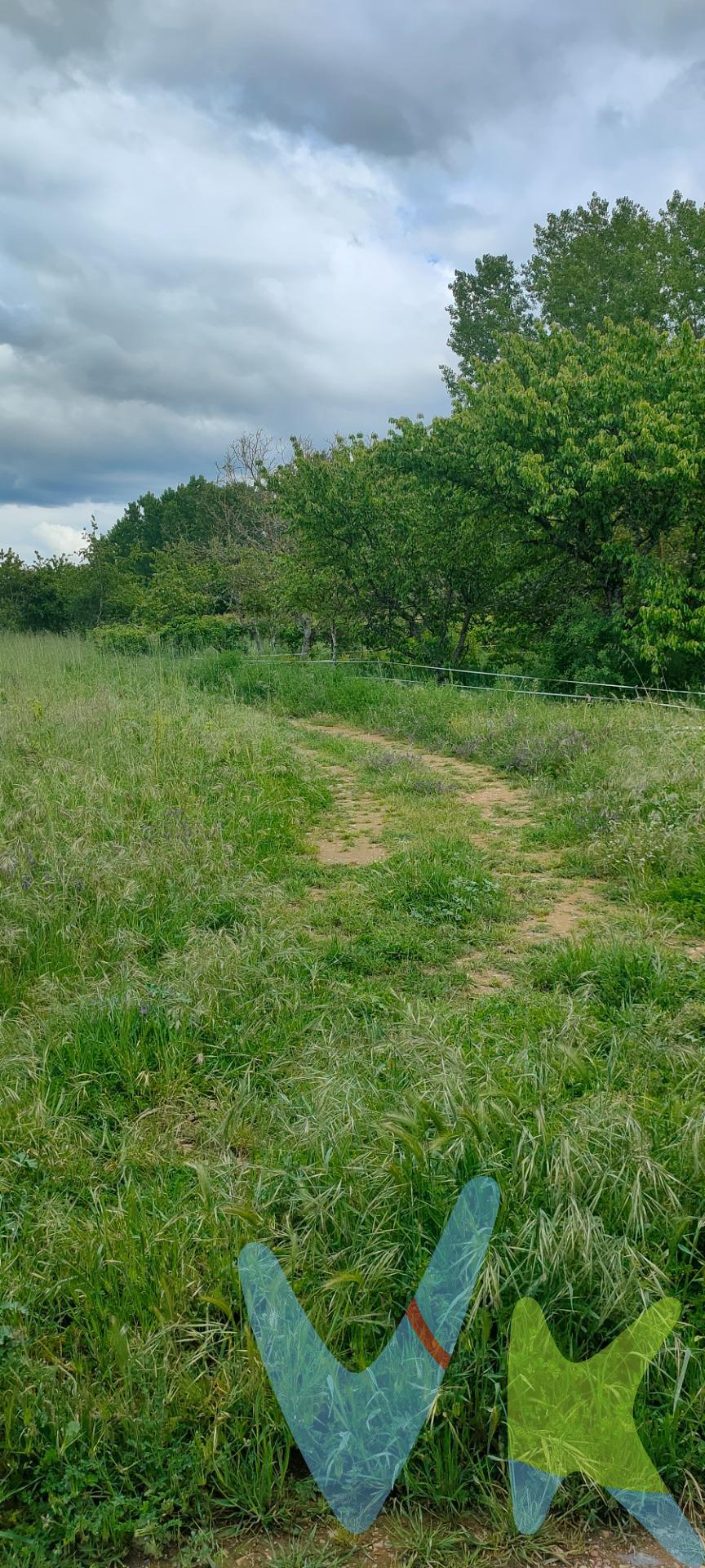 CONJUNTO DE TRES FINCAS UNIDAS. Un conjunto que hará que pueda disfrutar de un merecido descanso.  Unas fincas con una comunicación excelente. . Haz de este lugar tu sitio de recreo, de desconexión y de disfrute. . si estás buscando una finca como éstas, no lo dudes y ven a verlas.. estamos convencidos que cubrirán tus expectativas. Llámanos y hacemos la visita!!. Por mandato expreso del propietario, comercializamos este inmueble en exclusiva, lo que garantiza el acceso a toda la información, a un servicio de calidad, en un trato fácil, sencillo y sin interferencias de terceros. Por este motivo, se ruega no molestar al propietario, a los ocupantes de la propiedad o a los vecinos. Muchas gracias por su comprensión.