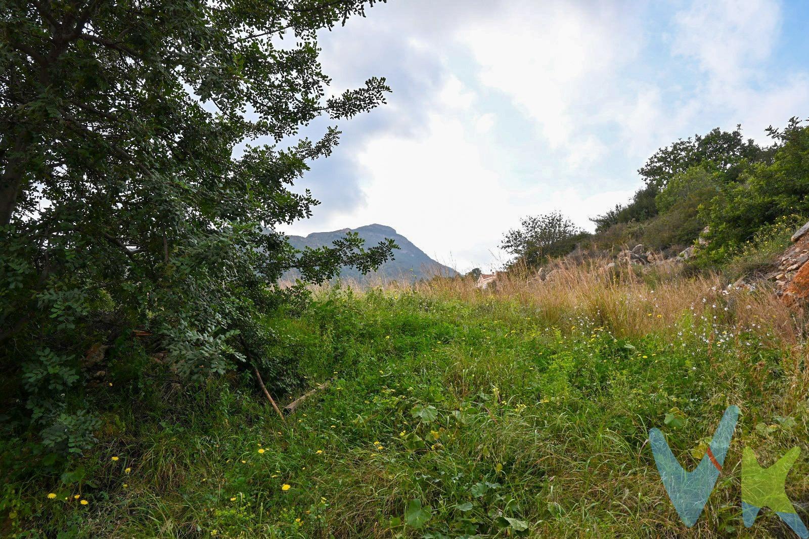 Terreno Urbano en La Vall d'Uxó - Frente a las Cuevas de San José. Oportunidad única de adquirir un terreno urbano de 452 m² en La Vall d'Uxó, Castellón. Este espacio, ideal para construir la casa de tus sueños, se encuentra ubicado justo enfrente de las famosas Cuevas de San José, desde el cual se ve el mar encuadrado con las montañas en un entorno natural de excepcional belleza. El terreno está listo para edificar y cuenta con acceso a todos los servicios básicos, incluyendo agua, electricidad y saneamiento, lo que asegura comodidad y funcionalidad. Disfruta de la tranquilidad de vivir rodeado de naturaleza, con fácil acceso a comercios, colegios y transporte público. No pierdas la oportunidad de invertir en un lugar que combina calidad de vida y belleza natural. ¡Contáctanos para más información y ven a visitar tu futuro hogar!. VENTA:. PVP 95.000€.  Gastos e impuestos no incluidos en el precio. La compra conlleva impuestos y gastos de formalización para el comprador. A título orientativo se informa que en segundas transmisiones el  ITP  con carácter general en  Valencia  es del  10%, pudiendo existir otros tipos impositivos atendiendo a  las circunstancias  personales del comprador u otras circunstancias previstas legalmente. Base imponible del impuesto el mayor valor entre el precio de compraventa, la tasación o el valor de referencia catastral. En cuanto a los gastos de  notaría y registro, en su caso,  suelen oscilar aprox; entre 1,5% y 2,5% (aranceles variables según precio, n.º de copias y complejidad). El comprador elige notario. Si el comprador precisase de  hipoteca: tasación, condiciones y costes bancarios serán según entidad elegida por el comprador, así como los gastos de gestoría, y cualesquiera otros gastos inherentes a la formalización de la compraventa que legalmente correspondan a la parte compradora, salvo pacto expreso en contrario con el vendedor. El consumidor tiene,  conforme a la normativa vigente, a su disposición información y documentación adicional relativa al inmueble y condiciones de la compraventa, que podrá ser consultada en C/Joaquín Costa 4, bajo 46005 Valencia o urbe2@remax.es. Honorarios de mediación inmobiliaria a cargo del  COMPRADOR: (3% del precio final de venta más IVA (21%), salvo otro pacto.); y  de VENDEDOR (según acuerdo con el mismo). . Se informa al consumidor que la agencia actúa como intermediaria inmobiliaria en la operación, estando cualquier eventual compraventa y sus condiciones sujeta a la aceptación expresa del propietario-vendedor y a la posterior formalización del correspondiente contrato. 