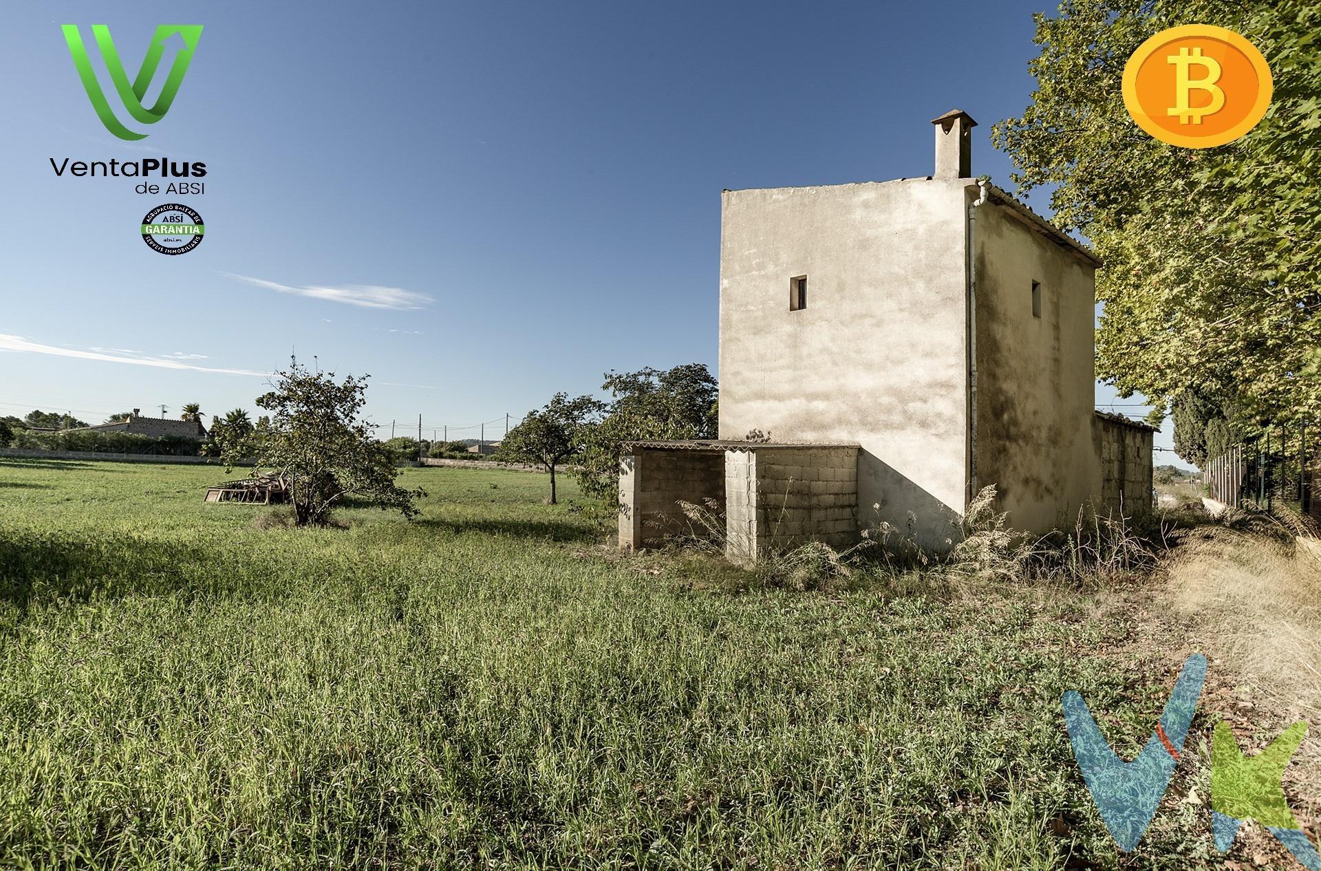 Encantadora Finca Rústica en Venta en Campanet, . Se vende finca rústica con edificación de 90 m² distribuidos en 2 plantas, ubicada en un entorno natural privilegiado a 1,4 km del centro de Campanet. . Esta propiedad ofrece una oportunidad única para disfrutar de la tranquilidad y belleza del campo mallorquín, con una rápida conexión a la autopista. Características principales:. Superficie: Parcela de 6.869 m². Construcción: Edificación principal de 90 m², distribuida en planta baja de 60,76 m², porche de 6 m² y planta alta de 24 m². Extras indispensables: Luz de Gesa, agua de red  y pozo propio. Documentación: Certificado de antigüedad expedido por el ayuntamiento, indicando que la edificación fue finalizada el 1 de marzo de 1987 y sin infracciones urbanísticas hasta la fecha. Disponemos de estudio topográfico. No tiene cédula de habitabilidad. La finca cuenta con una edificación de estilo tradicional mallorquín, con 3 estancias. El salón cuenta con chimenea, la planta alta ofrece un espacio que puede tener múltiples usos además dispone de una almacén y un pequeño porche. Ubicada en Campanet, un encantador pueblo situado en el corazón de la isla de Mallorca, conocido por su ambiente tranquilo y sus impresionantes paisajes naturales. La finca se encuentra a solo 4 minutos en coche del centro del pueblo, donde encontrarás tiendas, restaurantes y todos los servicios necesarios. Además, la propiedad tiene una rápida conexión a la autopista, lo que permite llegar a Palma y al aeropuerto en aproximadamente 30 minutos. Las playas más cercanas, como las de Alcudia y Pollensa, están a solo 20 minutos en coche, ofreciendo una combinación perfecta de campo y mar. Precio: 172,000 €. No pierdas la oportunidad de disfrutar con tu familia o amigos en un entorno natural y tranquilo, con todas las ventajas de vivir en el campo y cerca del pueblo. Para más información o para concertar una visita, no dudes en contactarnos. Este inmueble ha sido certificado por ABSI (Asociación Balear de Servicios Inmobiliarios), lo que significa que la agencia comercializadora ha supervisado la documentación necesaria para la compraventa y que el inmueble forma parte de la bolsa de propiedades en multiexclusiva ABSI. Inmobiliaria Inscrita en el Registre Oficial d’Agents Immobiliaris de les Illes Balears con el NÚMERO REGISTRO: GOIBE747077/2024