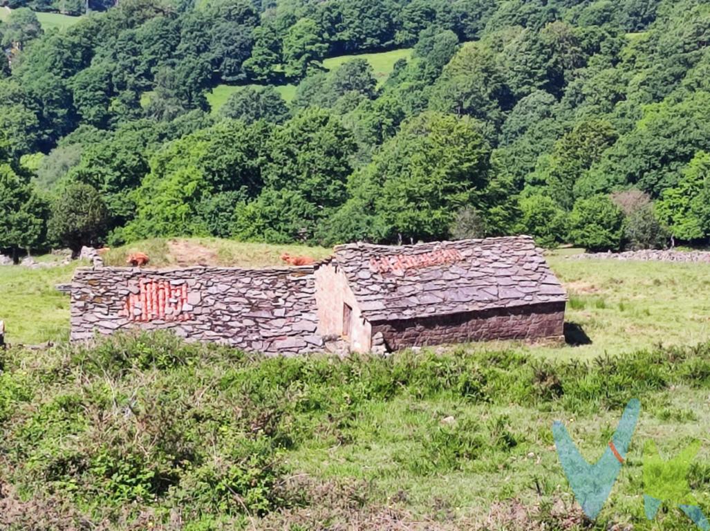 En el municipio de Resconorio, a pocos metros del puerto de La Matanela y el Nacimiento del Rio Nela, en la frontera con Burgos tenemos esta finca de casi 16.000m2, con 2 CABAÑAS , en un estado aceptable, con   TENDIDO ELECTRICO CERCANO Y AGUA DE TRAIDA. PUEDE SER UN LUGAR ESPECIAL PARA DESCONECTAR Y OLVIDARSE DEL MUNDO donde disfrutar del silencio roto solo por las esquilas y los campanos.VEN A VERLAS , TE SORPRENDERAN¡¡Al comprador se le cobrará un 2.000 de gastos de gestión + IVA.Gastos e Impuestos no incluidos en el precio. Compra sujeta a ITP. El comprador se hará cargo de los costes de la escritura e inscripción en el Registro de la Propiedad. Más información sobre transparencia, impuestos, gastos y condiciones de compraventa en nuestra web www.activanorte.com\"