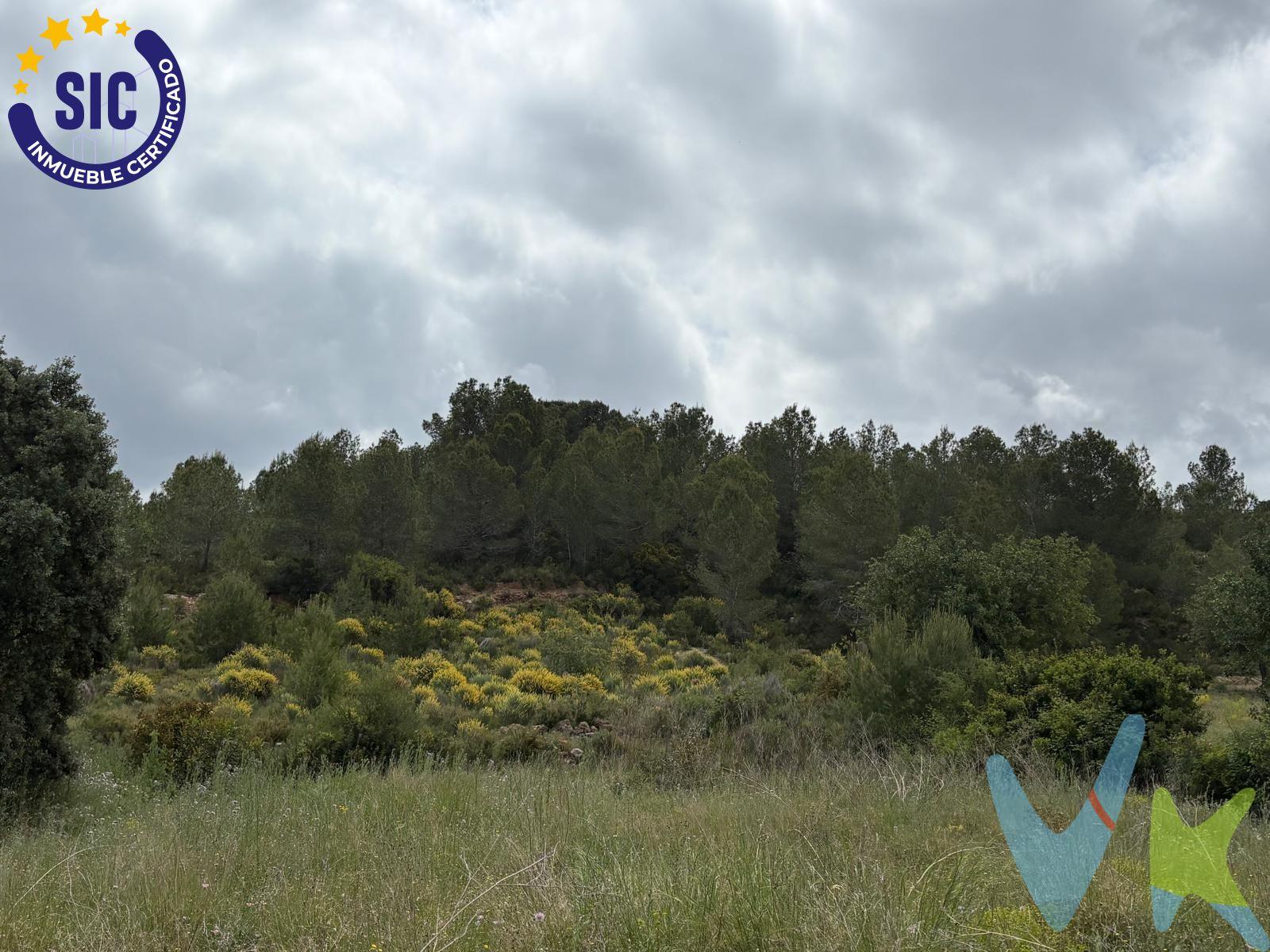 Se ofrece magnífico terreno rústico de 6.191 m² situado en Montroy, en un entorno tranquilo y rodeado de naturaleza, ideal para quienes buscan desconectar y disfrutar del aire libre a pocos minutos del núcleo urbano. Una parcela perfecta para uso agrícola, recreativo o simplemente como espacio privado donde pasar fines de semana, cultivar, instalar una zona de descanso o disfrutar de reuniones familiares en plena tranquilidad. Su amplitud y entorno natural convierten este terreno en una excelente oportunidad para quienes valoran la privacidad, el contacto con la naturaleza y la tranquilidad que ofrece la vida en el campo. Zona con buen acceso y mucho encanto, ideal para disfrutar del entorno rural y escapar del estrés diario. INFORMACIÓN LEGAL AL CONSUMIDOR:. El precio indicado no incluye impuestos ni gastos derivados de la compraventa. Gastos a cargo del comprador:. • Impuesto de Transmisiones Patrimoniales (ITP): En segundas transmisiones, el tipo general vigente en la Comunitat Valenciana es del 10% sobre la base imponible, que será el mayor valor entre el precio de compraventa, el valor declarado o el valor de referencia catastral, pudiendo aplicarse tipos reducidos según las circunstancias del comprador. • Honorarios de intermediación inmobiliaria: 4% del precio final de venta  con un mínimo de 4000€ + IVA (21%), a cargo del comprador. No incluidos en el precio de venta. • Notaría y Registro de la Propiedad: Los aranceles son oficiales y variables en función del precio y características de la operación. A título orientativo, entre 600 € y 1.000 €. Los gastos se distribuirán conforme a la normativa vigente, salvo pacto en contrario. Las condiciones pueden variar en función de las circunstancias personales y del régimen fiscal aplicable. Otros gastos:. • Gastos de financiación: Tasación, comisiones y condiciones bancarias según la entidad elegida por el comprador. • Gestoría: Servicio opcional, con costes variables en función del proveedor. • Podrán existir otros gastos inherentes a la formalización de la compraventa que correspondan al comprador según normativa vigente. El vendedor asumirá los gastos que legalmente le correspondan, salvo pacto en contrario. El inmueble no se encuentra sujeto, a fecha de publicación, a limitaciones de precio derivadas de normativa de zonas de mercado residencial tensionado. Se facilitará al cliente información detallada y personalizada de todos los costes asociados a la operación, así como la documentación relativa al inmueble, disponible en la sede física de la agencia - Av. Blasco Ibáñez 5 Bajo, 46970, Alaquàs (Valencia) y/o en el medio electrónico habilitado – www.inmueblesvalencianos.net. La agencia actúa exclusivamente como intermediaria en la operación. Cualquier compraventa queda sujeta a la aceptación expresa del vendedor y a la formalización del correspondiente contrato. El presente anuncio tiene carácter meramente informativo y no contractual, pudiendo estar sujeto a errores, cambios o actualizaciones.  . La venta de esta vivienda se gestiona mediante contrato de EXCLUSIVA COMPARTIDA por lo que se trabaja con cerca de 400 Inmobiliarias. 