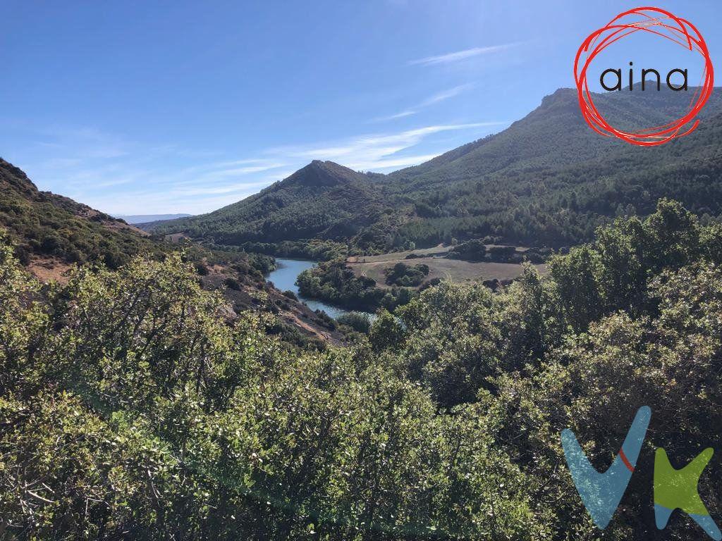 TERRENO AGRÍCOLA NO URBANIZABLE.  Si está buscando un terreno donde poder desarrollar una actividad agrícola, no dude en concertar una visita para conocer este terreno en Gallipienzo. Se trata de un terreno rural actualmente dedicado al al cultivo de olivos, almendros y cereal.  Se encuentra distribuido en dos parcelas, en las que cuenta con el siguiente arbolado:.  -200 almendros.  -150 olivos.  -Aproximadamente 1 Ha de terreno destinado a cereal.  La superficie de ambas parcelas es de aproximadamente 49.100 m2.  Se trata de una estupenda oportunidad para crear una pequeña explotación agrícola.