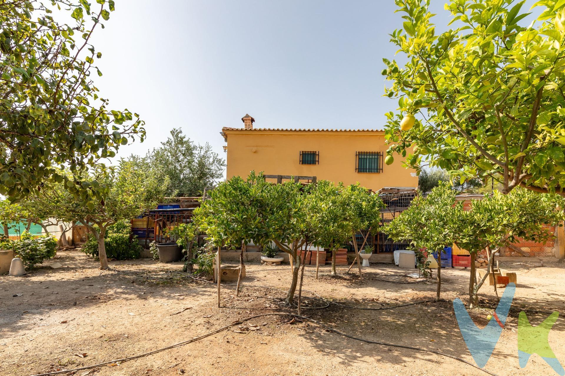 ¡Tu refugio ideal en plena naturaleza te espera en Godelleta!. Descubre este encantador chalet ubicado en la exclusiva urbanización Loma de los Caballeros, un entorno privilegiado donde la tranquilidad, el espacio y la comodidad se unen para ofrecerte la calidad de vida que siempre soñaste. Con una amplia parcela de 1.017 m², este magnífico inmueble cuenta con una vivienda principal de 168 m² construidos, distribuida en una sola planta con tres espaciosas habitaciones dobles, una cocina funcional, un baño completo y un acogedor salón-comedor con chimenea, perfecto para disfrutar de veladas inolvidables. Al entrar, te recibe un encantador porche cubierto, ideal para relajarte al aire libre en cualquier época del año. Además, dispone de una planta inferior totalmente diáfana, ofreciéndote un sinfín de posibilidades: desde un apartamento independiente, un gimnasio, hasta tu propio estudio o sala de ocio. En el exterior, más de 500 m² de frutales rodean una refrescante piscina privada, creando un oasis natural en tu propio jardín. Para los amantes de la gastronomía, la propiedad incluye una cocina-paellero exterior, ideal para disfrutar de comidas al aire libre con familia y amigos. Este chalet es mucho más que una casa: es tu próxima escapada de la ciudad, tu hogar de verano o tu residencia permanente en uno de los rincones más codiciados de Godelleta. ¡Ven a verlo y enamórate!. Por expreso deseo de los propietarios, esta vivienda se comercializa en EXCLUSIVA, por lo que le garantiza un trato fácil, cómodo y sin interferencias. Rogamos no molesten a sus ocupantes, propietarios o vecinos. Si usted es un profesional inmobiliario, no dude en llamarnos, estaremos encantados de colaborar en la venta de este inmueble.  . **Honorarios de agencia, gestoría, notaría, registro e impuestos no incluidos. Anuncio no vinculante, puede contener errores.** . 