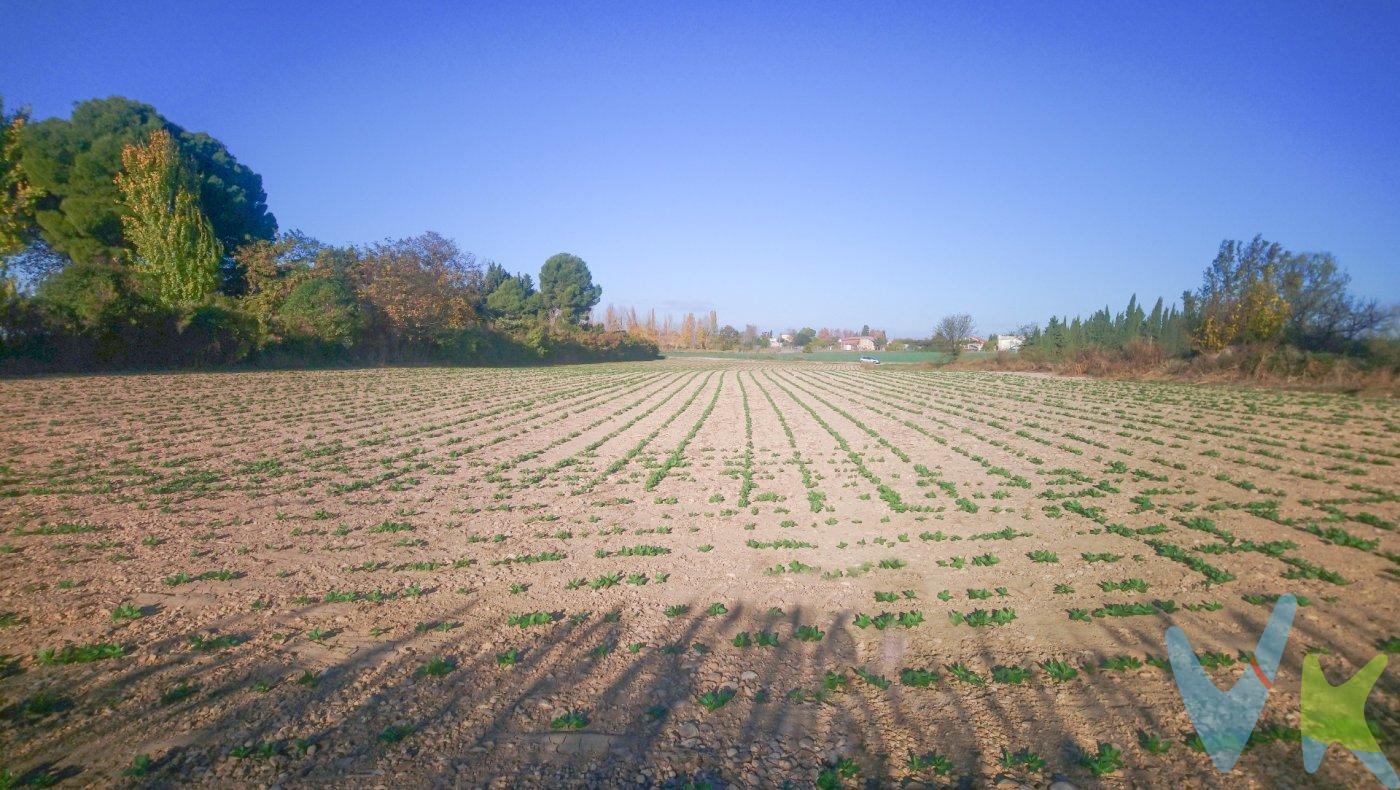 Terreno de 8981 metros junto al aeropuerto, rodeado de unifamiliares y explotaciones agrícolas. Se trata de un terreno de uso agrícola. Por una de las lindes pasa la acequia de riego. Actualmente se encuentra arrendado en explotación. Ideal para cultivos, huertos ecológicos o incluso para tener caballos y/o perros. Es una buena opción para tener un amplio terreno, a escasos minutos de Zaragoza.