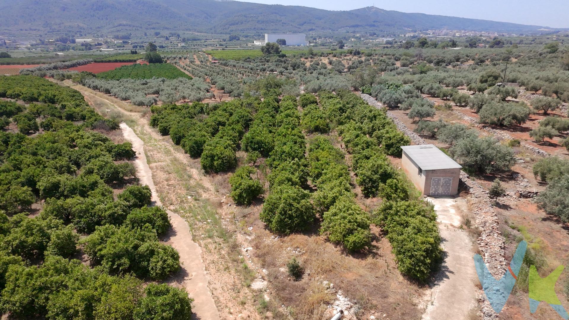 Terreno rústico en producción con vivienda auxiliar – Enguera (Valencia). 📍 Polígono 6, paraje Charral | 35.597 m² | Producción activa | Agua en propiedad. ¿Buscas una finca en plena producción y con excelente potencial?. Te presentamos esta parcela rústica de 35.597 m² en el término de Enguera, con cultivo de naranjos variedad Navel Clavel Late y toda la infraestructura preparada para seguir generando rendimiento desde el primer día. Características principales:. Superficie: 35.597 m². Producción agrícola activa (100 kg por árbol) 2400 naranjos. 60 acciones de agua. Riego por goteo con instalación en funcionamiento. Caseta con placas solares para mantenimiento. Acceso asfaltado hasta la finca. Electricidad próxima para conexión. Rentabilidad potencial por arrendamiento. Ventajas destacadas:. Clima ideal: buena altitud, mínimo riesgo de heladas, orientación soleada. Producción inmediata, sin necesidad de inversión inicial. Posibilidad de construcción de vivienda rústica (según normativa local). Agua garantizada. 🌅 Rodeado de naturaleza, bien comunicado y con posibilidades reales tanto para uso propio como para inversión agrícola o recreativa. 📩 Solicita ya más información, Una oportunidad como esta no se riega todos los días 🍊. La descripción del presente inmueble e imágenes tienen mero carácter informativo y en ningún caso carácter contractual, pudiendo ser modificados por la inmobiliaria comercializadora sin que ello implique responsabilidad alguna frente a terceros. En el precio de venta a público, esta propiedad NO incluye los gastos de adquisición (Notario, registro, gestión, honorarios, etc…). 