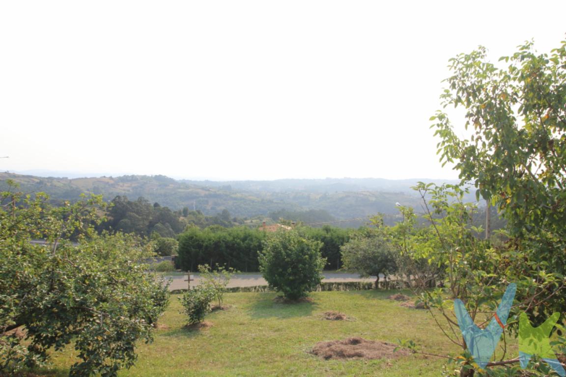 ¡Gran Oportunidad! Presentamos esta excepcional finca edificable en la zona de Anes, en Siero, a escasos 15 minutos de Gijón.  Se trata de una parcela amplia que ofrece infinitas posibilidades para quienes buscan inversión o un lugar para construir el hogar de sus sueños en un entorno privilegiado. Esta propiedad se enmarca dentro de una ubicación estratégica, combinando la tranquilidad de un entorno natural con la cercanía a todos los servicios necesarios.Llama la atención las vistas espectaculares que tiene y la tranquilidad que se respira en ella. Está totalmente cerrada y tiene agua y luz. Asfaltado hasta pie de finca.La parcela cuenta con una extensión que permite edificar hasta 300 metros cuadrados, lo que asegura espacio suficiente para desarrollar una vivienda espaciosa, con jardines amplios o incluso una piscina. Esta finca es el lienzo perfecto para concretar proyectos personalizados, ajustándose a las necesidades de cada familia. La posibilidad de diseñar una casa a medida es uno de los principales atractivos de esta propiedad.Tiene manzanos, perales, limoneros, kiwis, naranjo y aguacatero.Tambien tiene la opción económica de poner un mobil home ya que la finca al ser edificable es apta para ello. No lo dude es ideal para formar un hogar y cumplir sus sueños. Contamos con más de 35 años de experiencia acreditada y nuestro objetivo es garantizarle un servicio de compra humano, ético, de calidad, fácil y seguro. Nuestro equipo lo integran agentes con la titulación AIR (Agente Inmobiliario Registrado), somos CRS (Council of Residential Specialist) y API. (Agente de la Propiedad Inmobiliaria Colegiado nº248). Contamos con un seguro de Caución que nos permite garantizar el depósito de las cantidades entregadas por nuestros clientes.Te ayudamos con la financiación con las mejores condiciones hipotecarias hasta el 100%.Consulte en nuestras reseñas de Google lo que opinan los clientes que ya han trabajado con nosotros.El precio no incluye gastos de notaría, registro e impuesto de transmisiones
