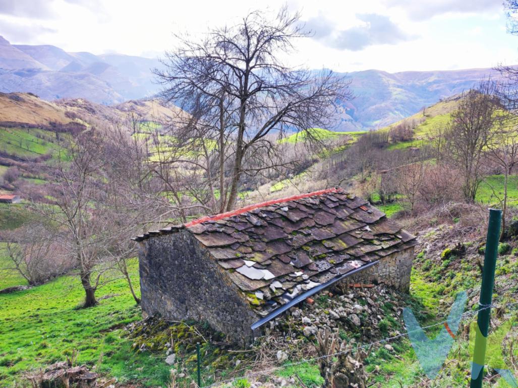 ¡¡¡OCASIÓN DE COMPRAR UNA BUENA CABAÑA PARA REFORMAR A UN PRECIO IMBATIBLE!!!En Miera encontramos esta preciosa cabaña, solo pendiente de la reforma que le quieras hacer para sentirte agusto en ella.Ubicada a pie de carretera, en una finca de más de 9.000m2 esta cabaña te está esperando.Tiene acceso hasta la misma puerta, agua de traída y luz en la proximidad.Esta bonita cabaña, en una finca muy soleada y con unas vistas espectaculares se encuentra cera de la cueva de Sopeña y del columpio gigante de Miera.¡¡¡Ven a conocerla, te enamorará!!!