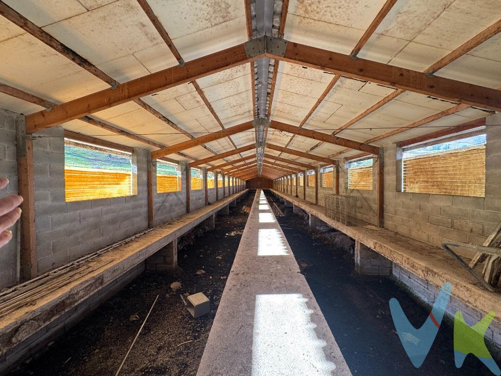 Nave ganadera en finca rústica de 1 Ha. Descubre esta espectacular finca situada en La Contrina, en el precioso valle de Los Corrales de Buelna, un enclave natural privilegiado y estratégico. Esta propiedad combina a la perfección accesibilidad, funcionalidad y un entorno único para quienes buscan invertir o desarrollar actividades agrícolas o ganaderas.  Ubicación Inmejorable. A tan solo 2 minutos del centro de Los Corrales de Buelna y con acceso directo a la autovía, la finca cuenta con una entrada asfaltada que permite el tránsito de camiones, tractores y maquinaria pesada.  Infraestructura y Servicios. La finca está completamente equipada con agua y luz, ofreciendo una base sólida para cualquier proyecto. Su terreno, en su mayoría llano, incluye una zona en pendiente (ladera), perfectamente trabajable con maquinaria.  . Instalaciones de Calidad. En el corazón de la finca se encuentran  dos naves de hormigón con acceso directo y a nivel desde el terreno, ideales para almacenamiento, cría de animales o adaptación a nuevas actividades. Además dispone de varias estancias destinadas a almacén, cocina o lo que se crea conveniente. .  Orientación y Entorno Natural. La finca, soleada durante todo el día, ofrece unas vistas espectaculares de las montañas que rodean el valle de Buelna. Su orientación asegura un entorno luminoso y agradable, ideal tanto para disfrutar como para trabajar.  Versatilidad y Potencial. Con un pasado como granja dedicada a la cría de ganado menor, esta finca es una gran oportunidad de inversión. Perfecta para retomar actividades ganaderas, iniciar un proyecto agrícola, o incluso como espacio para nuevas ideas empresariales. Haz realidad tu sueño de tener una finca funcional, bien comunicada y en uno de los paisajes más hermosos de Cantabria. Esta es tu oportunidad para construir el futuro que siempre has imaginado. 