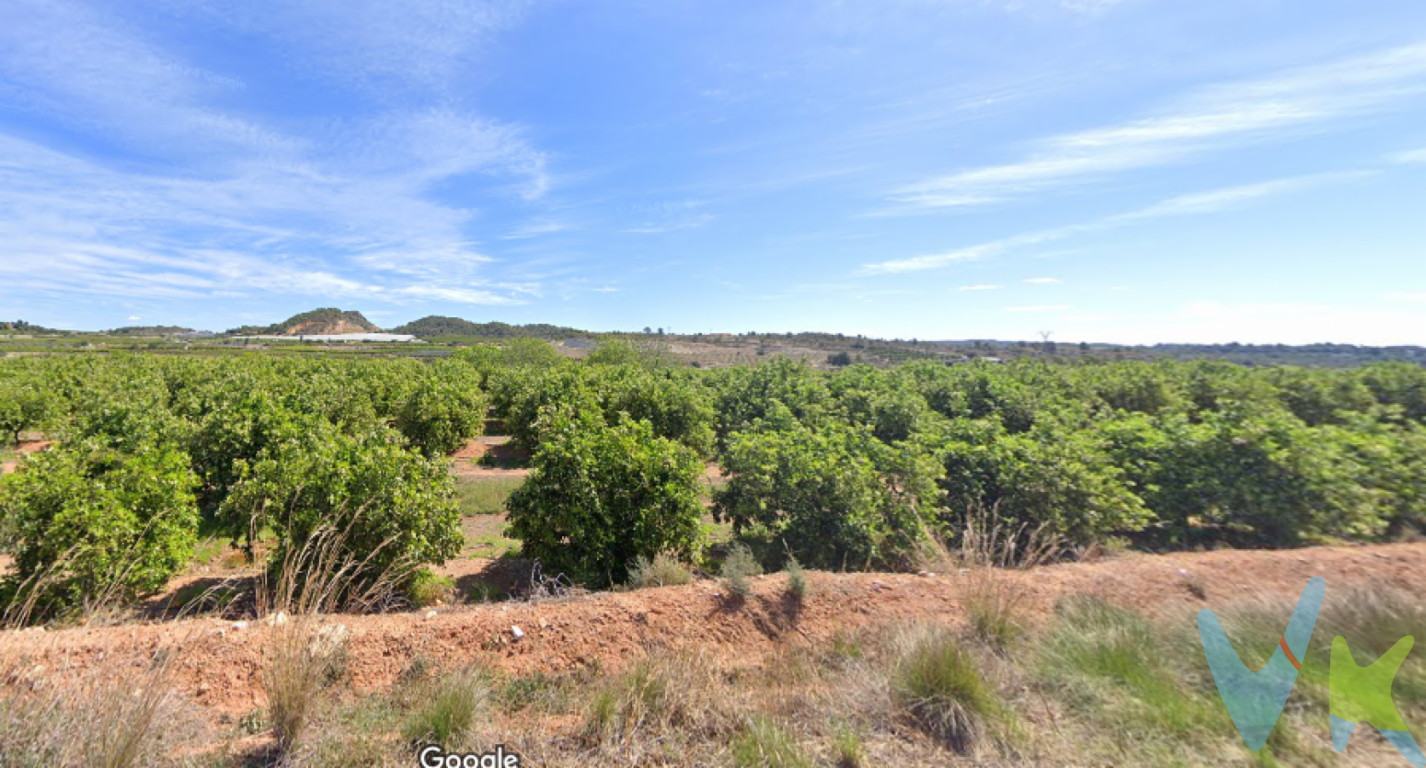  Presentamos este terreno en venta en la encantadora localidad de Pedralba, provincia de Valencia. El terreno es Rustico, no urbanizable de uso agrario. Cuenta con una superficie de 5.327m2.