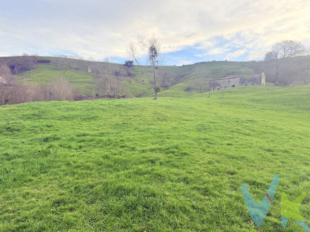  **Venta de Finca en Esles: Oportunidad Única**Nos complace presentarle una excepcional finca disponible para la venta en el idílico entorno de Esles. Este impresionante terreno es una oportunidad única para quienes buscan paz y privacidad.La finca es una amplia parcela que se extiende a lo largo de un paisaje verde y sereno, proporcionando un lienzo perfecto para quienes desean diseñar un espacio personalizado, en sintonía con la belleza natural que la rodea. Una de las características más destacadas de esta finca es su conveniente conexión a la red eléctrica. Este detalle vital asegura que las necesidades modernas de comodidad y tecnología sean fáciles de integrar, permitiendo a los futuros propietarios disfrutar de todas las comodidades actuales mientras se deleitan con el ambiente rural. Esta finca ofrece un terreno con gran versatilidad, con suficiente espacio para soñar, se trata de un suelo rústico de espacial protección agrícola ganadero que permitiría una construcción siempre vinculada a la actividad profesional agrícola ganadera, dicha construcción debe ajustarse a la normativa municipal.Le invitamos cordialmente a visitar esta propiedad y comprobar de primera mano las innumerables ventajas que ofrece. Solo una visita personal puede revelar la verdadera esencia de esta finca, la frescura del aire, el canto de los pájaros y la calma del entorno que no se puede replicar solo con palabras. Al caminar por la parcela, visualizará las posibilidades infinitas que la propiedad ofrece, haciendo que sea sencillo imaginar cómo su futuro podría desarrollarse en este entorno tan inspirador.Esta es una oportunidad que no querrá perderse. La venta de esta finca en Esles representa un estilo de vida más conectado con la paz de la naturaleza, la belleza del paisaje y la serenidad.Estamos seguros de que una vez que conozca esta finca, quedará convencido de su incomparable potencial y sentirá la atracción irresistible por hacer realizad su sueño en esta maravilloso enclave.Así que, anímese a dar el paso y descubrir por qué esta propiedad es el lugar perfecto para comenzar la próxima gran aventura de su vida.  No es un bien hipotecable.Notaria, registro e impuestos no incluidos en el precio.Honorarios asumidos por la parte vendedora. 