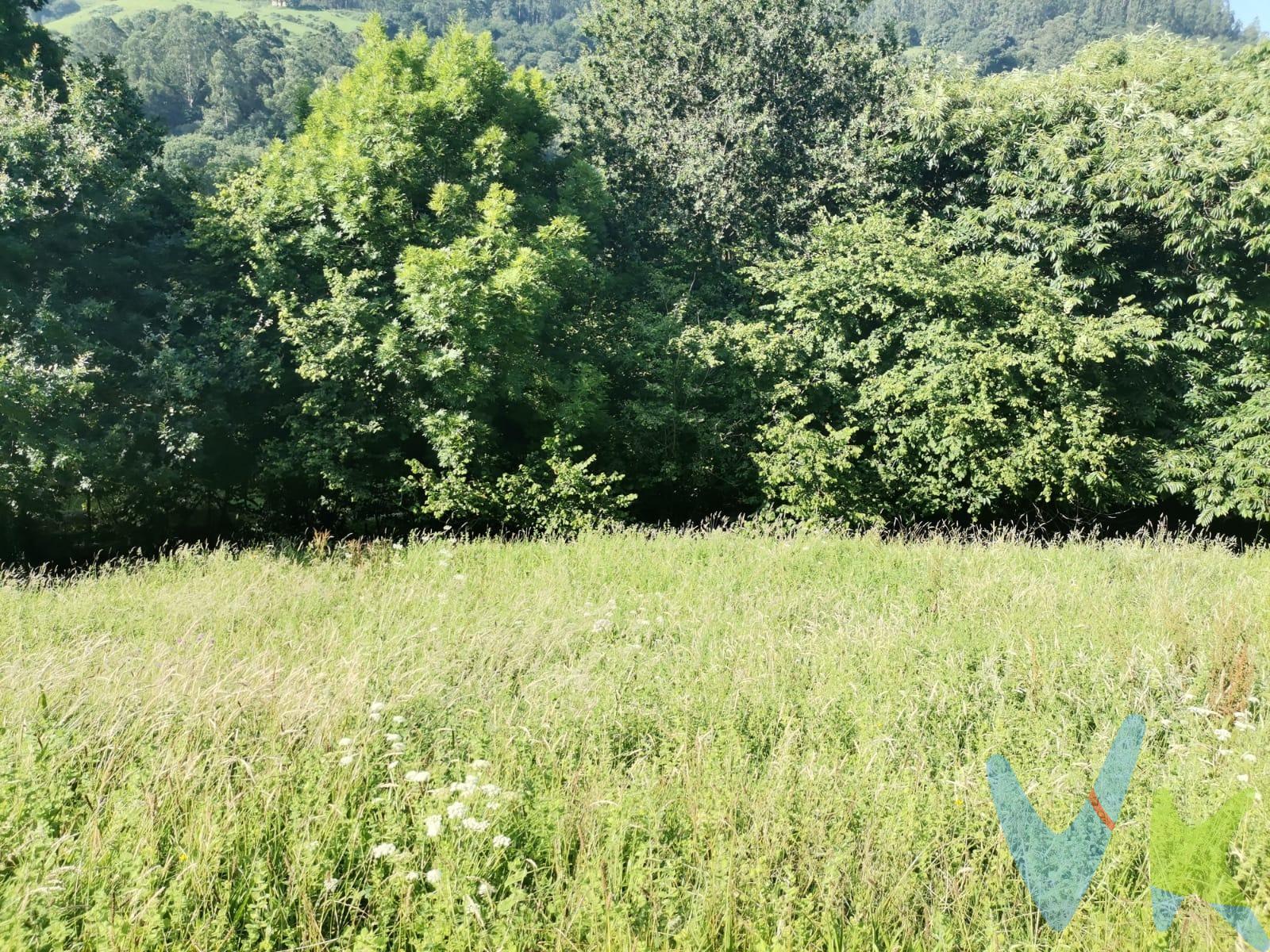 En Lloreda de Cayon, presentamos este terreno edificable con acceso desde carretera, cercano a servicios, ideal por su cercanía a Saron. Vistas despejadas y muy soleado. Todo ello unido a un precio muy interesante para la zona en la que se encuentra. Solo pídenos que te acompañemos y podrás comprobarlo por ti mismo. Los impuestos, gastos de notaría y registro no están incluidos en el precio