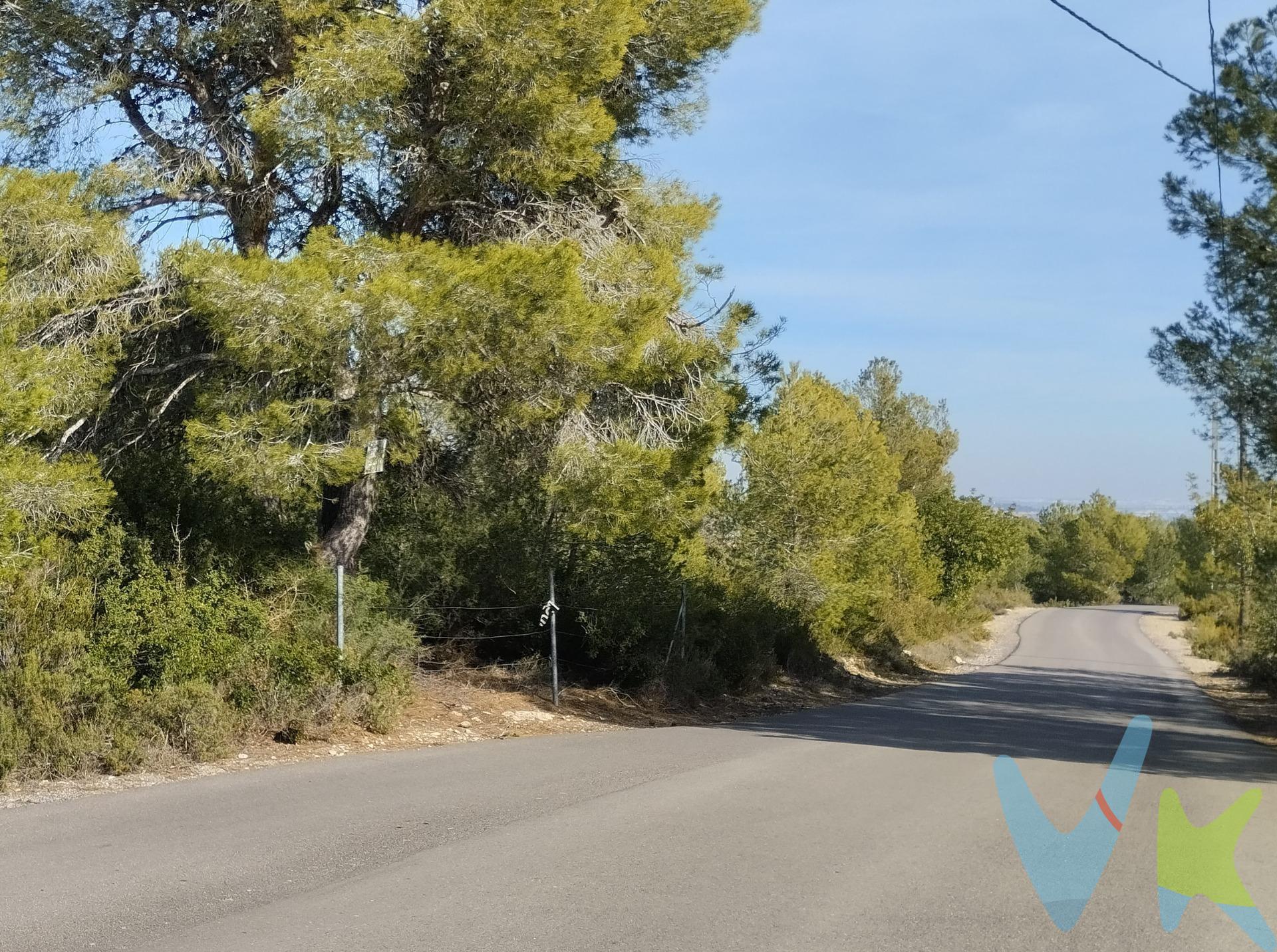 En el corazón de la provincia de Valencia, se encuentra una parcela rústica en venta, en un entorno natural privilegiado, en el municipio de Godelleta. . Esta propiedad, tiene una superficie de 2910m2. Cuenta con una hermosa vista al paisaje natural, tiene un acceso asfaltado, lo que garantiza su fácil acceso. El entorno natural de esta parcela rústica es uno de sus mayores encantos, este lugar es ideal para el desarrollo de actividades al aire libre. . Es perfecto para aquellos que buscan disfrutar de la naturaleza y alejarse del ruido y del estrés de las ciudades. El clima en la zona es suave y mediterráneo, con una temperatura media anual de alrededor de 20-25 grados. . La abundancia de sol y la brisa fresca que sopla desde el mar Mediterráneo hace que esta parcela rústica sea un lugar ideal para disfrutar del aire libre durante todo el año. Esta parcela rústica también se encuentra a 2 kilómetros del centro urbano de Godelleta, lo que la hace perfecta para aquellos que están buscando la tranquilidad de la vida en el campo sin perder las comodidades de una ciudad cercana. La descripción del presente inmueble e imágenes tienen mero carácter informativo y en ningún caso carácter contractual, pudiendo ser modificados por la inmobiliaria comercializadora sin que ello implique responsabilidad alguna frente a terceros. En el precio de venta a público, esta propiedad NO incluye los gastos de adquisición (Notario, registro, gestión, honorarios, etc…).