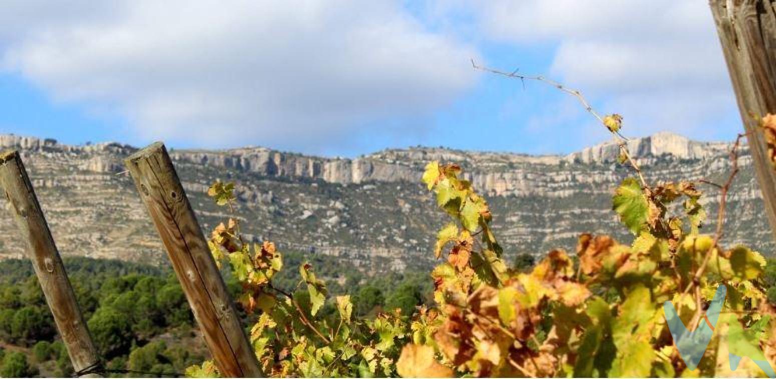 En venta 4 fincas rústicas con un total de 85.144m² entre el término de Cornudella de Montsant y Morera de Montsant en la Carretera TP 7402 en la comarca del Priorat. A 35 km de las playas de la Costa Dorada, el parque Port Aventura y a 130 km de Barcelona.Actualmente matorral, bosque y vegetación de ribera. Antiguamente viña y avellanos. Fincas de suelo no urbanizable, sus posibles usos són: agrícola de secano, se permite la transformación en regadio, forestal y uso recreativo limitado para casa de colonias, turismo rural y escuelas de naturaleza, en estos casos siempre sometidos a un plan especial urbanístico aprovado por la administración pertinente..Situadas a pie de carretera, buen acceso y visibilidad. Ens las fincas hay dos minas de agua..Actualmente hay una edificación de 60m² con salón, habitación, baño y chimenea..PRECIO NEGOCIABLE!El precio indicado corresponde al PVP (Precio de Venta al Público).Los gastos adicionales derivados de la compraventa como los de notaría, registro de la propiedad e Impuesto de Transmisiones Patrimoniales (ITP)no están incluidos en el PVP. Estos gastos pueden variar según el precio final de la operación y la normativa aplicable, ya que se calculan sobre la base imponible del valor de transmisión del inmueble.API: 659 AICAT: 2268 ANTONIO MIGUEL GIL LLABERIA  - VIVENDEX REUS PARTNERS SL