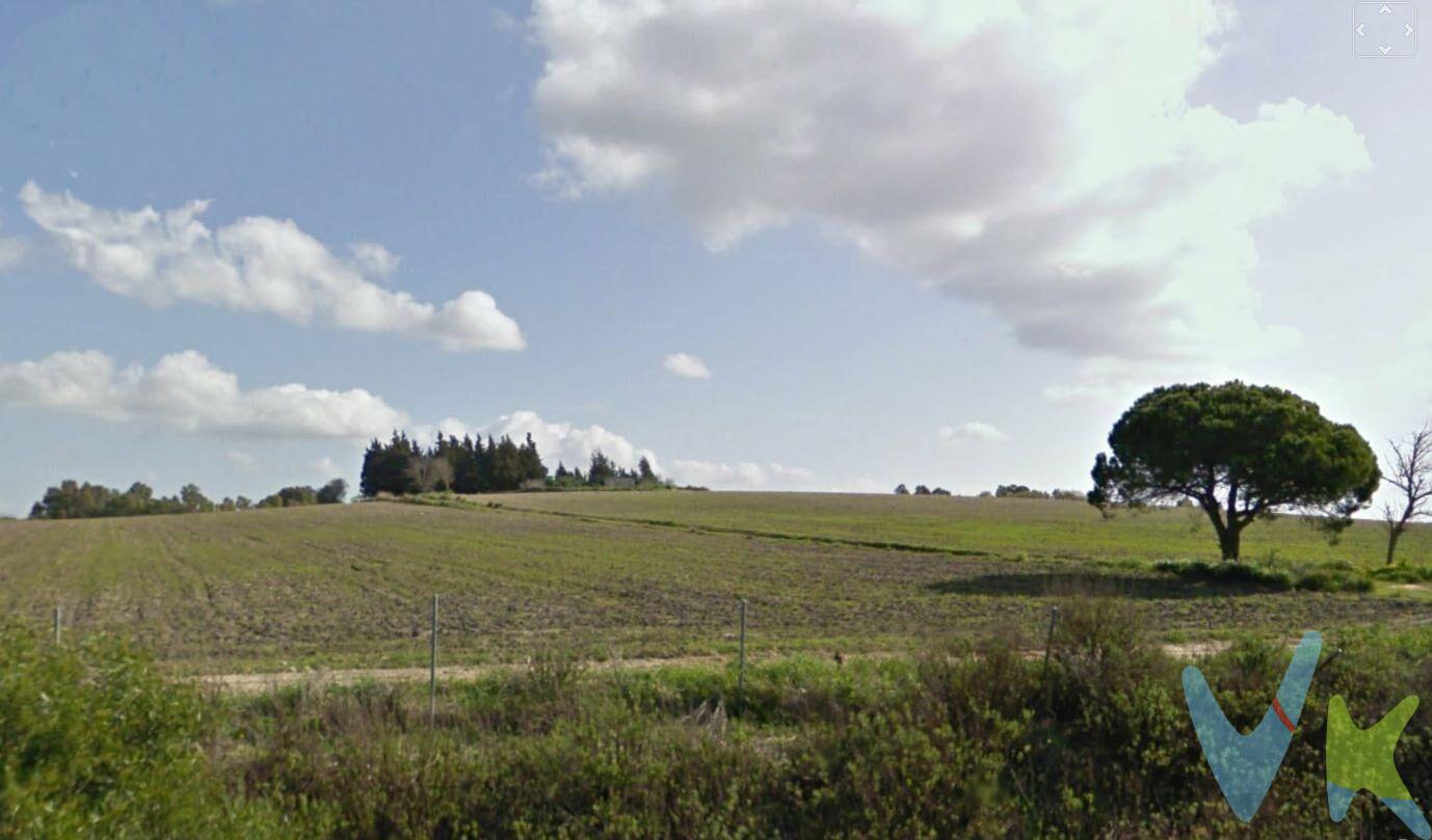 . ¿Buscas un lugar perfecto para invertir o desarrollar tu proyecto soñado? Presentamos un increíble terreno rústico en Chiclana de la Frontera, estratégicamente ubicado cerca de la autovía, ofreciendo fácil acceso y unas vistas inigualables.  Características del Terreno:. - Superficie Total: 25.000 metros cuadrados. - Parcelas: 10 parcelas de 2.500 metros cuadrados cada una. - Estado Legal: Totalmente segregadas e independientes jurídicamente. Ventajas:. - Ubicación Ideal: Cerca de la autovía, lo que garantiza una excelente conectividad y accesibilidad. - Entorno Natural: Disfruta de la tranquilidad y belleza de un entorno rural con vistas panorámicas. - Flexibilidad: Perfecto para inversores, agricultores, o aquellos que buscan desarrollar un proyecto personal o comercial. -Independencia: Cada parcela es independiente, permitiendo una amplia gama de posibilidades para su uso y desarrollo. No pierdas la oportunidad de adquirir un terreno con tanto potencial en una de las zonas más demandadas de Chiclana de la Frontera. ¡Las posibilidades son infinitas!. Contacta con nosotros hoy mismo para más información y para programar una visita!. Comercializamos este inmueble en exclusiva, lo que le garantiza el acceso a toda la información y un servicio de calidad único y personalizado. En cumplimiento del Decreto de la Junta de Andalucía 218/2005 del 11 de Octubre, se informa al cliente que los gastos notariales, registrales, ITP y otros gastos inherentes a la compraventa no están incluidos en el precio. Igualmente disponemos del Documento Informativo Abreviado de la Propiedad (D.I.A) , y de un Seguro de Caución para garantizar las cantidades entregadas a nuestra Agencia en concepto de Reserva y/o Arras. 