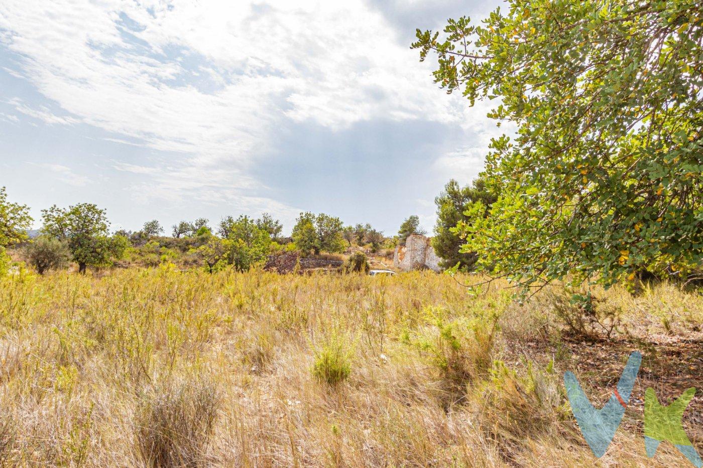 Te presentamos una oportunidad excepcional que puede convertirse en tu rincón de ensueño en Monserrat: un terreno de aproximadamente 27,000m2. . Este impresionante terreno, actualmente designado como agrícola pero con potencial para futuras adaptaciones, te brinda la posibilidad de construir tu propio chalet en medio de la naturaleza. Imagina tu casa ideal en este entorno rústico, rodeado de un paisaje de secano adornado con majestuosos algarrobos. Además, como un extra, se incluye una casa de campo que requiere reformas, ubicada en la Partida de la Fuente de Mañes. La parcela abarca una extensión de treinta y dos "anegadas," equivalente a dos hectáreas, sesenta y ocho áreas y cuarenta centiáreas. Para tu comodidad, también contarás con acceso a servicios de luz y agua, lo que facilitará la ejecución de tus futuros proyectos. Te extendemos una cordial invitación para que nos contactes y podamos coordinar una visita en persona. Esta será una oportunidad única para explorar de cerca todas las perspectivas que este terreno posee. Estamos entusiasmados por guiarte en esta exploración de una propiedad llena de potencial. Es importante tener presente que el precio de venta al público no incluye gastos asociados a la adquisición, tales como honorarios notariales, registrales, de gestión, entre otros. Asimismo, es relevante destacar que cualquier mobiliario, enseres, vehículos u otros bienes muebles que aparezcan en las fotografías no están contemplados en el precio de transmisión, a menos que se especifique de manera explícita en el anuncio. No dejes escapar esta asombrosa oportunidad de asegurar un terreno lleno de posibilidades. ¡No dudes en ponerte en contacto con nosotros ahora mismo y comienza a hacer tus sueños realidad!