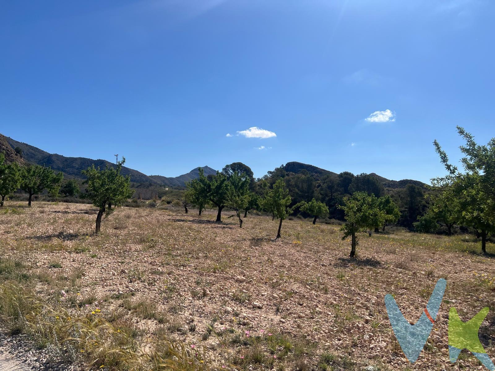 Crea el hogar que siempre has soñado en este terreno urbano en Barinas a 1 km del centro de Barinas, junto al campo de futbol de Barinas, tiene una superficie de 7700 m2  de los que 3282 m2 son urbanos. Está ubicada en un entorno privilegiado por sus vistas,  carretera asfaltada hasta la finca. Muy bien comunicada cerca del pueblo de Barinas con todos sus servicios y a 40 minutos del centro de Murcia. Cuando te pongas en contacto con nosotros te informaremos de los gastos que no están incluidos en el precio, gastos de compraventa y honorarios de agencia y te ayudaremos para que tu proceso de compra con nosotros se convierta en un. Calma: Estado ideal de tranquilidad que tendrás al comprar tu casa con nosotros. Por último, te vamos a contar una cosa: Los propietarios han confiado en nosotros y nos han contratado en exclusiva para que les ayudemos a vender uno de sus bienes más preciados, su casa, su hogar. Esto para ti, como comprador, será una garantía ya que tendrás acceso a un servicio de calidad, un trato fácil, sencillo y sin interferencias de terceros. Por eso, te vamos a pedir un favor, habla con nosotros, no los molestes, te vamos a ayudar en caso de interés en todo el proceso y te vamos a facilitar toda la documentación e información que precises. Como ya te habíamos dicho, ¡Un servicio de calidad!.