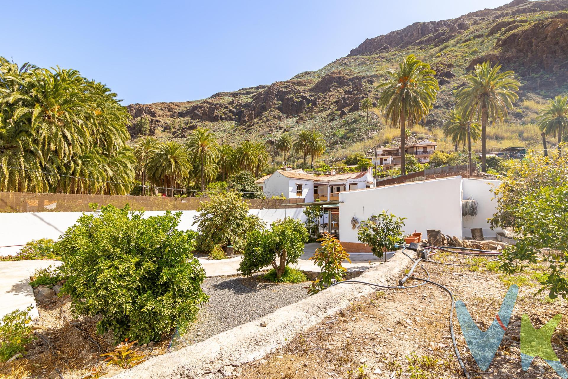 Casa Rural con Apartamento para Invitados y con 9,5 hrs de agua incluidas para el riego en Fataga. ¿Te imaginas despertar cada mañana rodeado de naturaleza, con el aire limpio de la montaña y el silencio como compañero? Esta propiedad en Fataga es mucho más que una casa: es la oportunidad de reconectar con lo esencial, de vivir al ritmo de la tierra y bajo el sol canario. Ubicada en una zona tranquila y pintoresca del sur de Gran Canaria, esta finca ofrece un conjunto completo: una vivienda principal, un apartamento independiente para invitados y una extensa parcela cultivada, ideal para quienes sueñan con autosuficiencia, desconexión o un proyecto de vida alternativo. Agua de riego: uno de los mayores privilegios de esta propiedad es su derecho a 9,5 horas de agua de riego. Este recurso tan valorado garantiza el cuidado de tu huerta, árboles frutales y jardín durante todo el año. Una ventaja real para los amantes del cultivo, la jardinería o simplemente para quien valora la sostenibilidad en su hogar. La casa principal: amplitud y luz natural. Desde una escalera exterior accedes a la terraza que da entrada a la vivienda. Dentro, te recibe un salón amplio con cocina abierta y comedor integrado, lleno de luz natural. Cuenta con tres dormitorios dobles, uno individual y un baño completo. En la parte trasera, un patio cubierto ofrece un espacio íntimo para relajarte en la sombra. Apartamento para invitados: funcional y versátil. Junto a la casa principal se encuentra un edificio de una sola planta originalmente usado como almacén, ahora transformado en un cómodo apartamento. Incluye un dormitorio, cocina independiente, salón espacioso y una habitación adicional perfecta como oficina, trastero o dormitorio extra. Espacios exteriores con carácter. El entorno de la finca está lleno de rincones con encanto: un rincón para desayunar junto a un muro de piedra natural, una veranda con zona de estar rústica, y una barbacoa lista para reuniones con amigos o familia. Todo rodeado de un paisaje rural auténtico que invita a desconectar. Más comodidades:. •Aire acondicionado con bomba de calor. •Agua caliente por energía solar. •4 plazas de aparcamiento dentro de la finca. •2 trasteros adicionales. •Se vende amueblada (salvo herramientas, electrodomésticos y objetos personales, negociables). La finca está repleta de árboles frutales y cultivos: naranjos, limoneros, higos, aguacates, guayabas, moras, ciruelos, olivos, nísperos… además de una huerta activa con berenjenas, pimientos, hierbas aromáticas y más. Todo gracias al agua de riego que da vida a cada rincón verde. Fataga pertenece al municipio de San Bartolomé de Tirajana, y aunque se siente como un refugio natural, está a solo 30 minutos de las playas, el mar y la oferta turística de Maspalomas, Playa del Inglés o Meloneras. Tu refugio en la montaña te espera: una vida más sencilla, fértil y en calma empieza aquí. Contáctanos para más información o una visita. La oferta está sujeta a errores, cambios de precio, omisiones y/o retirada del mercado sin previo aviso. El precio no incluye impuestos y tasas para la compra: transferencia de propiedad (6,5%), gastos de notaría, registro de la propiedad y manejo de asuntos administrativos.