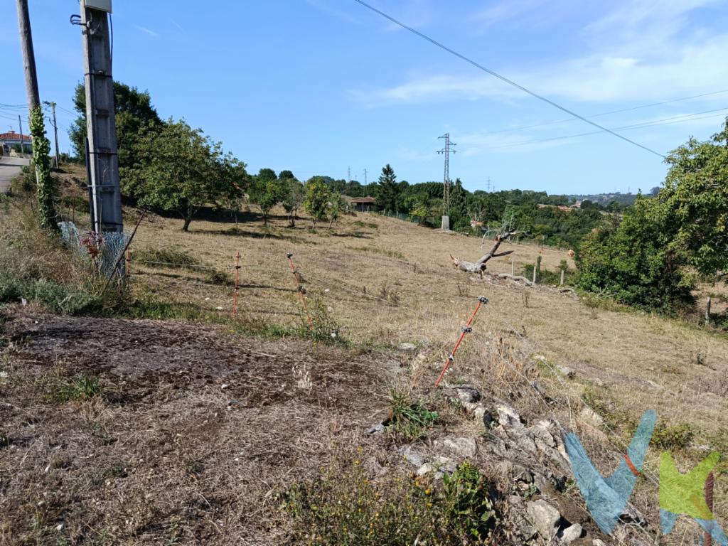 Ponemos a la venta finca edificable de 2.639 M2, edificable (300 m2), en Sotiello - Lleme, finca con 2 frentes a carretera, posibilidad de 2  entradas/salidas, finca con saneamiento, prácticamente llana, con luz y agua a pie de finca, zona tranquila, muy bien comunicada, tanto por Somonte, como por la AS-2, a 10 minutos de Gijón, y a 15 de Oviedo, zona consolidada, para más información o concertar visita, solo por teléfono.