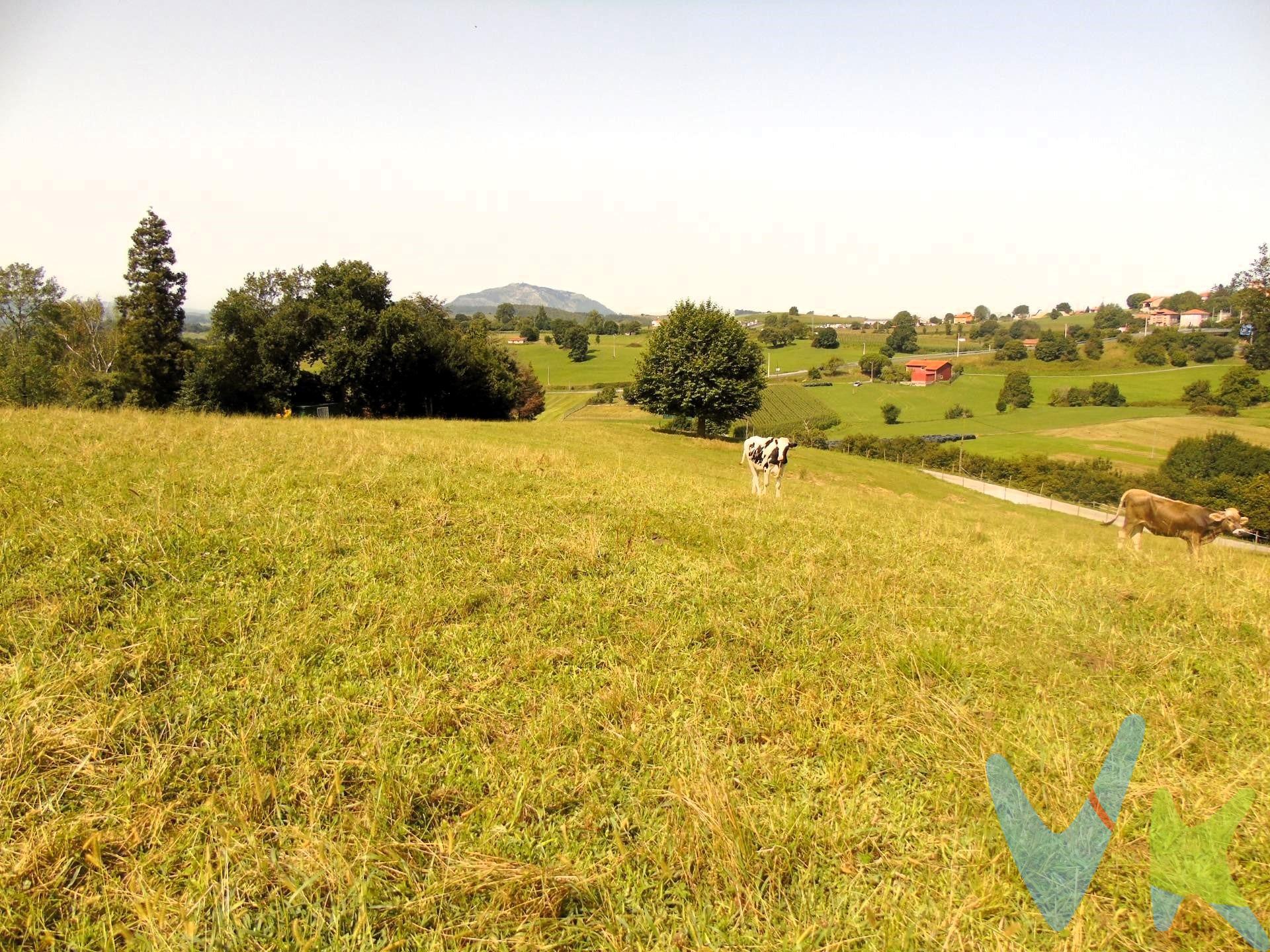 Terreno prácticamente llano en Anero de 2.500m2 aproximadamente donde poder hacer la casa de sus sueños. (pendiente de segregar de un terreno mayor por lo que los metros pueden ser al gusto). Con posibilidad de hacerse con la finca al completo (15.000 m² aprox, precio a consultar). La finca cuenta con suministros a pie de finca  y con una bonita zona de arbolado. Dispone de una edificabilidad de un 10% por lo que peudes disponer de una vivienda independiente y amplia. No dude en venir a visitar esta bonita finca donde disfrutar de la tranquilidad y las vistas de este bonito valle. Los impuestos, gastos de notaría y registro no están incluidos en el precio
