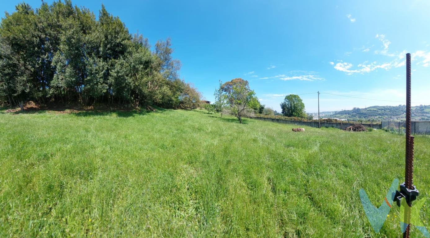 Se vende espectacular finca en la zona de Sotiello, una de las áreas más codiciadas de la ciudad. Este terreno de 1.532 m², con una superficie edificable de 300 m², ofrece un lugar perfecto para construir la casa de tus sueños.La finca está perfectamente conectada con el centro de Gijón, facilitando el acceso a todas las comodidades urbanas sin renunciar a la paz y serenidad del campo. Además, cuenta con cercanía al transporte público y una parada de bus a pocos pasos, lo que es un recurso adicional tanto para adultos como para jóvenes de la familia.     Cada detalle ha sido pensado para proporcionar la máxima calidad de vida, desde el acceso por carretera hasta los servicios de agua, luz, alcantarillado y alumbrado público. La combinación perfecta entre naturaleza y conveniencia urbana hace de esta finca una inversión segura para el futuro, gracias al potencial de revalorización en la zona de Sotiello.    No pierdas esta oportunidad de adquirir un terreno en una ubicación difícil de superar en el mercado inmobiliario de Gijón.  ¡Contáctanos hoy mismo para más información y para programar una visita!     Gastos e impuestos no incluidos en el precio. A título orientativo, en segundas transmisiones, el comprador abonará el Impuesto sobre Transmisiones Patrimoniales (ITP). Para consultar los porcentajes del ITP en Asturias puede hacerlo a través de la web oficial de servicios tributarios del Principado de Asturias https://sede.tributasenasturias.es/sites/sede/default/es_ES/Que-quieres-hacer/Transmisiones-Patrimoniales-y-AJD. La base imponible será el mayor valor entre precio de compraventa, tasación o valor de referencia catastral. Gastos de notaría y registro aranceles variables según precio, número de copias y complejidad).El comprador escoge libremente notario. El vendedor asume, por ley, los gastos que le correspondan, salvo pacto en contrario. Si se precisa hipoteca: Tasación, condiciones y costes bancarios según entidad elegida por el comprador; así como los gastos de gestoría y cualesquiera otros inherentes a la formalización de la compraventa. De acuerdo con la ley, no se incluyen en el precio otros gastos o tributos que legalmente correspondan al comprador. Honorarios de intermediación inmobiliaria a cargo del vendedor y honorarios de mediación inmobiliaria del 2% más I.V.A. con un mínimo de 2000EUR más I.V.A. a cargo del comprador.El consumidor tiene derecho, conforme a la normativa vigente, a disponer de información y documentación adicional relativa al inmueble y condiciones de la compraventa. Cualquier compraventa y sus condiciones quedan sujetas en todo caso a la aceptación expresa del vendedor del inmueble y a la posterior formalización del correspondiente contrato. El presente anuncio tiene carácter meramente informativo; la información suministrada se corresponde con la disponible a la fecha de publicación, pudiendo variar en función de las circunstancias o actualizaciones legales, contractuales y fiscales.