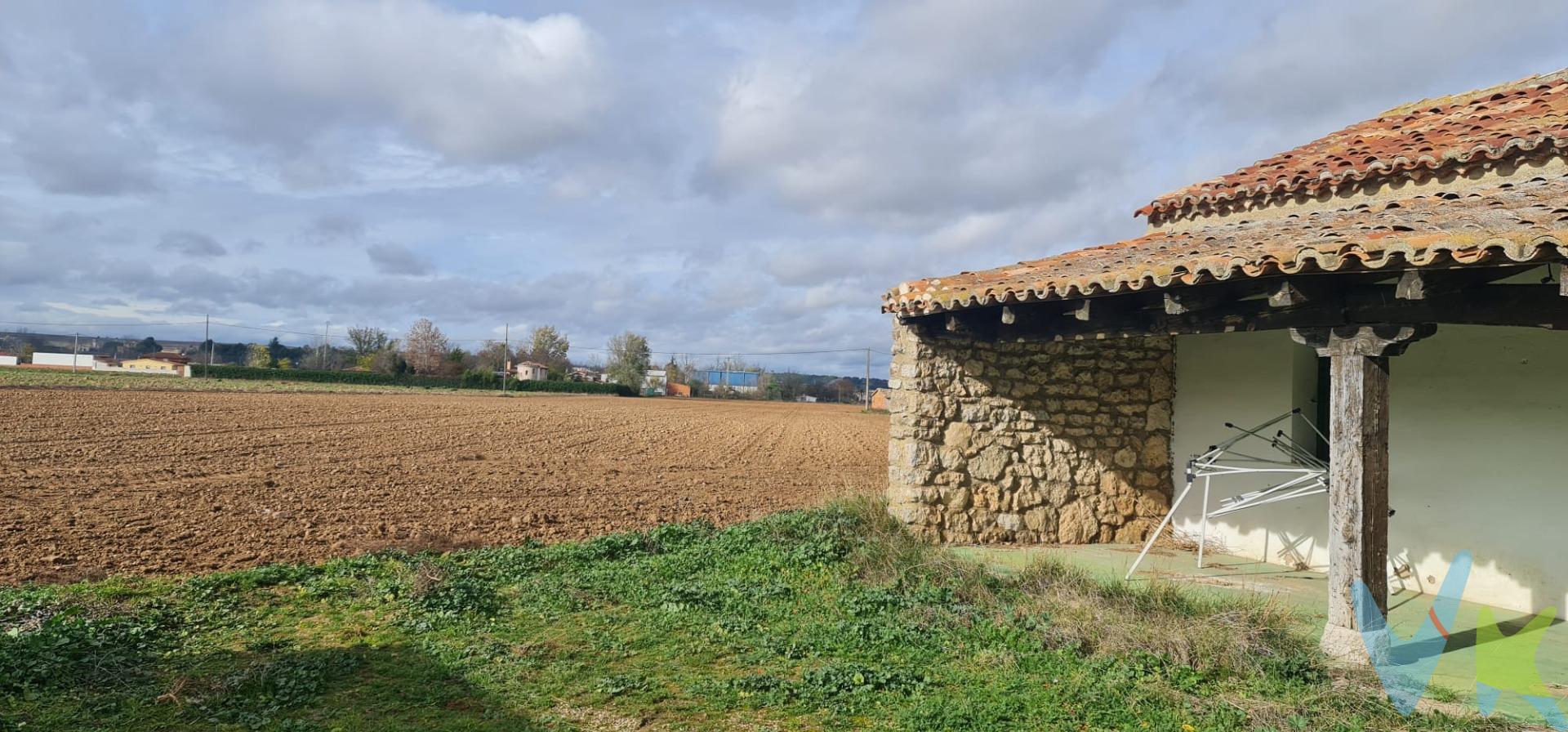 Bonita finca con casa (para reformar completamente), nave y piscina,. Cuenta con dos pozos y motor para regar.  De casi 6 hectáreas, lisa y  plana. Junto a un arroyo y el rio. Para cultivar cualquier tipo de producto, buena tierra, antes huerto de árboles frutales.