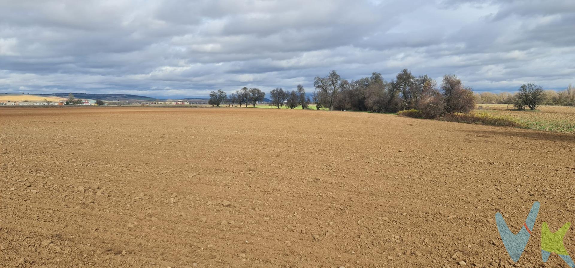 Descubre esta excepcional finca rústica de regadío ubicada en Cubillas de Santa Marta, Valladolid. Esta propiedad abarca casi 6 hectáreas de terreno llano y bien definido, ideal para el cultivo diversificado gracias a su fértil suelo que anteriormente albergó un huerto frutal. La finca incluye una casa que requiere reforma integral, ofreciendo la oportunidad perfecta para personalizar tu hogar rural según tus preferencias. Además cuenta con amplias instalaciones como nave agrícola y piscina; perfectas para disfrutar del entorno natural durante los días soleados. Dotada de dos pozos junto a un arroyo y adyacente al río, facilita el sistema de irrigación necesario para mantener cualquier tipo de producción agrícola deseada o simplemente disfrutar del paisaje sereno que ofrece este lugar único.
