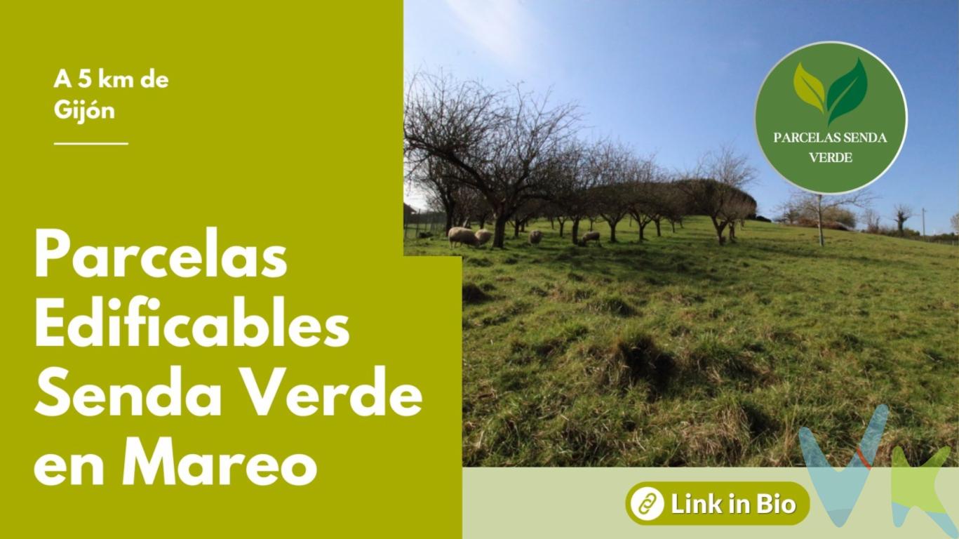 Imagina despertarte  aqui cada día.. Una parcela de 1.500 m² en Mareo, donde aún puedes sentir la calma de lo rural sin renunciar a estar cerca de Gijón.Este suelo forma parte de una pequeña parcelación  de solo cuatro parcelas. Dos de ellas ya tienen dueño. Ahora quedan las dos últimas. La tuya puede ser una de ellas.Con una edificabilidad de 300 m², tienes espacio más que suficiente para diseñar y construir la casa que siempre has soñado. Todo preparado: luz, agua y alcantarillado a pie de finca. Solo falta tu proyecto.Ubicada junto a la Escuela de Fútbol del Sporting de Gijón, en una zona consolidada de viviendas unifamiliares. Vecinos tranquilos, calles silenciosas y el verde como telón de fondo. Vistas a un entorno natural que parece fuera de la ciudad, pero estando dentro.Porque no buscas cualquier parcela. Buscas un lugar donde construir tu hogar. Y este, sin duda, lo es!!!.   