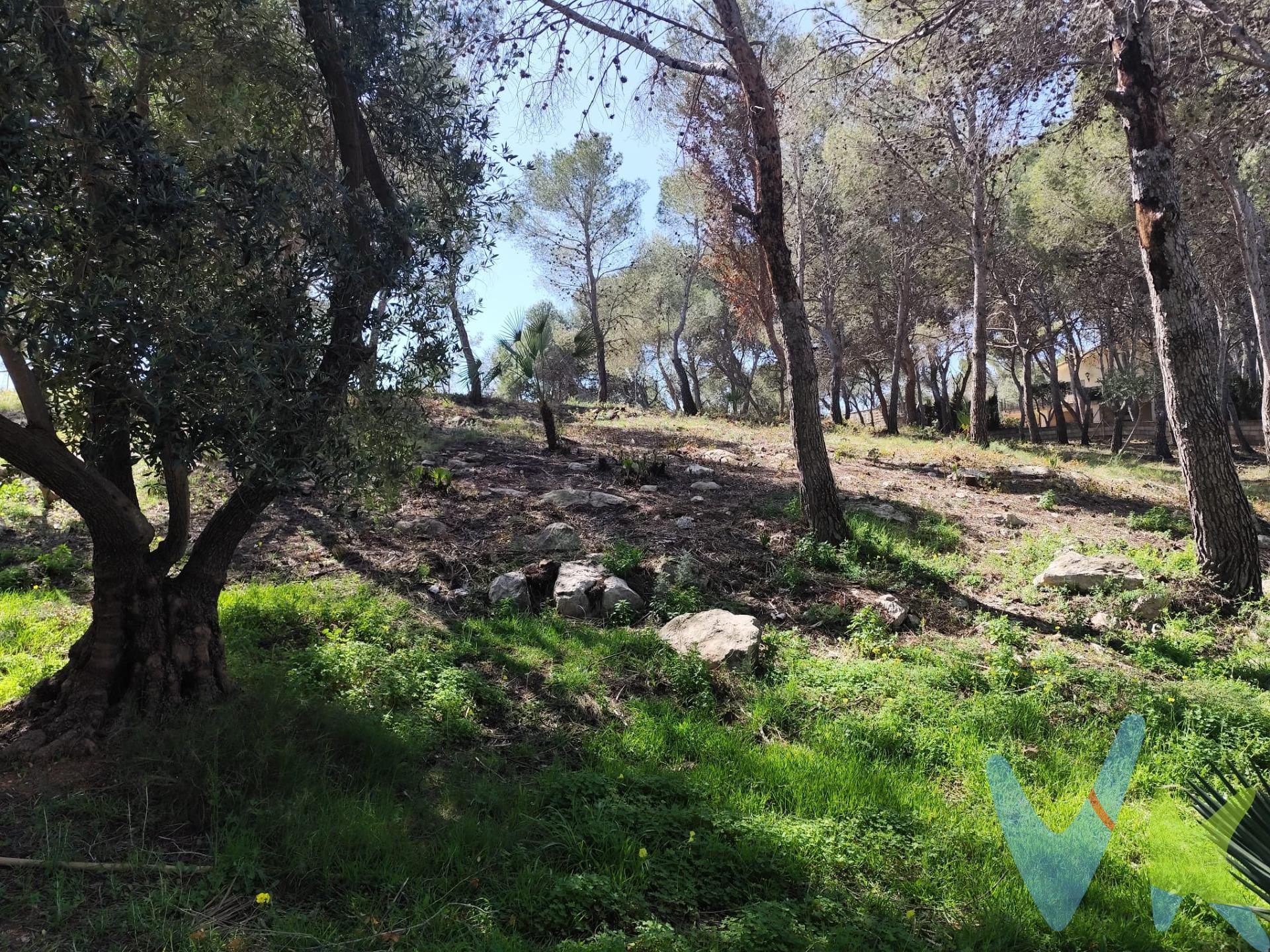 ¿Buscas amplitud, exclusividad y un entorno natural sin renunciar a la seguridad de una urbanización consolidada?. Presentamos esta magnífica parcela de 2.096 m2 situada en la prestigiosa Urbanización El Pinar, un enclave privilegiado rodeado de naturaleza y con todos los servicios deportivos y sociales a tu alcance. Características Principales. Superficie: 2.096 m2 de terreno con grandes posibilidades. Estado Urbanístico: Suelo urbano. Actualmente, la concesión de licencias de obra está vinculada a la finalización del proyecto de alcantarillado (actualmente en fase de estudio por las autoridades pertinentes) para la eliminación definitiva de fosas sépticas. Entorno: Zona residencial tranquila, habitada durante todo el año y con excelente vecindad. Instalaciones y Club Social. Vivir en El Pinar es sinónimo de calidad de vida. La urbanización cuenta con unas instalaciones comunes excepcionales:. Club Social: Un punto de encuentro exclusivo para los vecinos. Deporte: Pistas de tenis, frontón y campo de futbito. Zonas Verdes: Áreas comunes cuidadas para el disfrute familiar. Nota Importante: Al adquirir la parcela, el comprador entra a formar parte de la copropiedad de todas las instalaciones comunes y edificios de la urbanización (Club Social, etc.). Para formalizar esta titularidad y el acceso a los servicios, se requiere una aportación inicial de 6.000 €. ¿Por qué esta parcela?. Es la opción ideal para inversores que deseen posicionarse en una de las urbanizaciones con más potencial de Picassent antes de que la nueva infraestructura de saneamiento revalorice significativamente los precios de la zona. ¡No dejes pasar esta oportunidad de construir tu futuro en El Pinar!. Para más información o concertar una visita, contacta con nosotros. VENTA:. PVP 99.900€. Gastos e impuestos no incluidos en el precio. La compra conlleva impuestos y gastos de formalización para el comprador. A título orientativo se informa que en segundas transmisiones el ITP con carácter general en Valencia es del 10%, pudiendo existir otros tipos impositivos atendiendo a las circunstancias personales del comprador u otras circunstancias previstas legalmente. Base imponible del impuesto el mayor valor entre el precio de compraventa, la tasación o el valor de referencia catastral. En cuanto a los gastos de notaría y registro, en su caso, suelen oscilar aprox; entre 1,5% y 2,5% (aranceles variables según precio, n.o de copias y complejidad). El comprador elige notario. Si el comprador precisase de hipoteca: tasación, condiciones y costes bancarios serán según entidad elegida por el comprador, así como los gastos de gestoría, y cualesquiera otros gastos inherentes a la formalización de la compraventa que legalmente correspondan a la parte compradora, salvo pacto expreso en contrario con el vendedor. El consumidor tiene, conforme a la normativa vigente, a su disposición información y documentación adicional relativa al inmueble y condiciones de la compraventa, que podrá ser consultada en C/Joaquín Costa 4, bajo 46005 Valencia o urbe2@remax.es. Honorarios de mediación inmobiliaria a cargo del COMPRADOR: (3% del precio final de venta más IVA (21%), salvo otro pacto.); y de VENDEDOR (según acuerdo con el mismo). Se informa al consumidor que la agencia actúa como intermediaria inmobiliaria en la operación, estando cualquier eventual compraventa y sus condiciones sujeta a la aceptación expresa del propietario-vendedor y a la posterior formalización del correspondiente contrato.