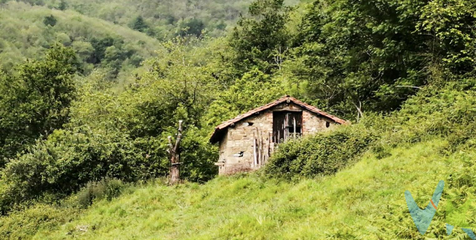 Cabaña de piedra con mucha naturaleza
A 5 minutos de Pola de Laviana disfrutar de esta bonita cabaña y de todas sus propuestas está al alcance de tu mano
En un entorno 100% natural, con el paisaje Lavianés y PeñaMayor de fondo, tienes la oportunidad de rehabilitar una bonita cabaña, de 36m2 de planta, que se convertirá en el centro de tu vida, de la de tu familia y amigos, pues junto a su céntrica ubicación, su accesibilidad y su gran terreno, esta  propiedad en venta en Laviana, es perfecta para poner en marcha ese interesante proyecto natural que tienes en mente
Sigue el enlace para conocer la ubicación de  Venta de Cabaña de piedra con terreno en Laviana 
El precio de la propiedad no incluye los gastos de impuesto de transmisiones patrimoniales, notariales ni de registro