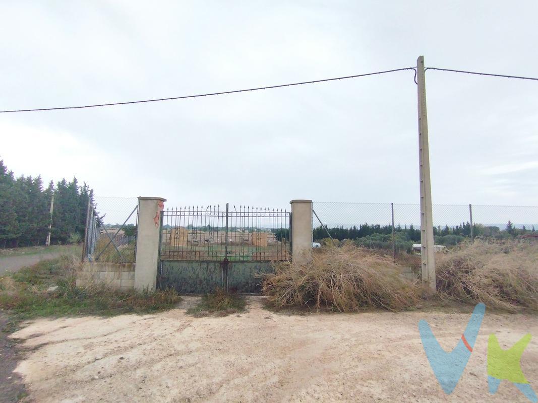 Miralbueno carretera aeropuerto cerca de Tenis y Gallarre. Finca de regadío de 5.100 m² . Totalmente vallado con dos puertas de acceso. Dispone de agua de riego una vez por semana por solo 61€/año y posibilidad de conexión a la red eléctrica con tendido de luz en linderos. Ubicado a solo 10 minutos de Zaragoza.