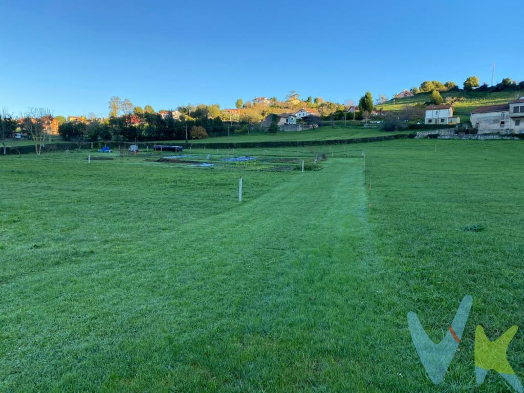 Ponemos a la venta dos preciosas parcelas en Pinzales, en el mismo pueblo al lado de la Farmacia. Tienen una excelente ubicación, a escasos metros de la salida de la AS_II, Carretera antigua a Oviedo. Son totalmente llanas, y están en Núcleo Rural, con una edificabilidad de 300 metros construidos. Tienen todos los servicios a pie de finca, luz, agua y alcantarillado. Posee una excelente comunicación con GIjón con una  línea de autobús, y a escasos 50 metros el apeadero del tren. Si buscas tener una casa unifamiliar al  lado de Gijón, tenemos la oportunidad que buscas. Con un precio inmejorable, que te permitirá tener una casa o vivienda unifamiliar cerca de  la ciudad por el precio de un buen piso en Gijón. No esperes mas. Llámanos para solicitar información.